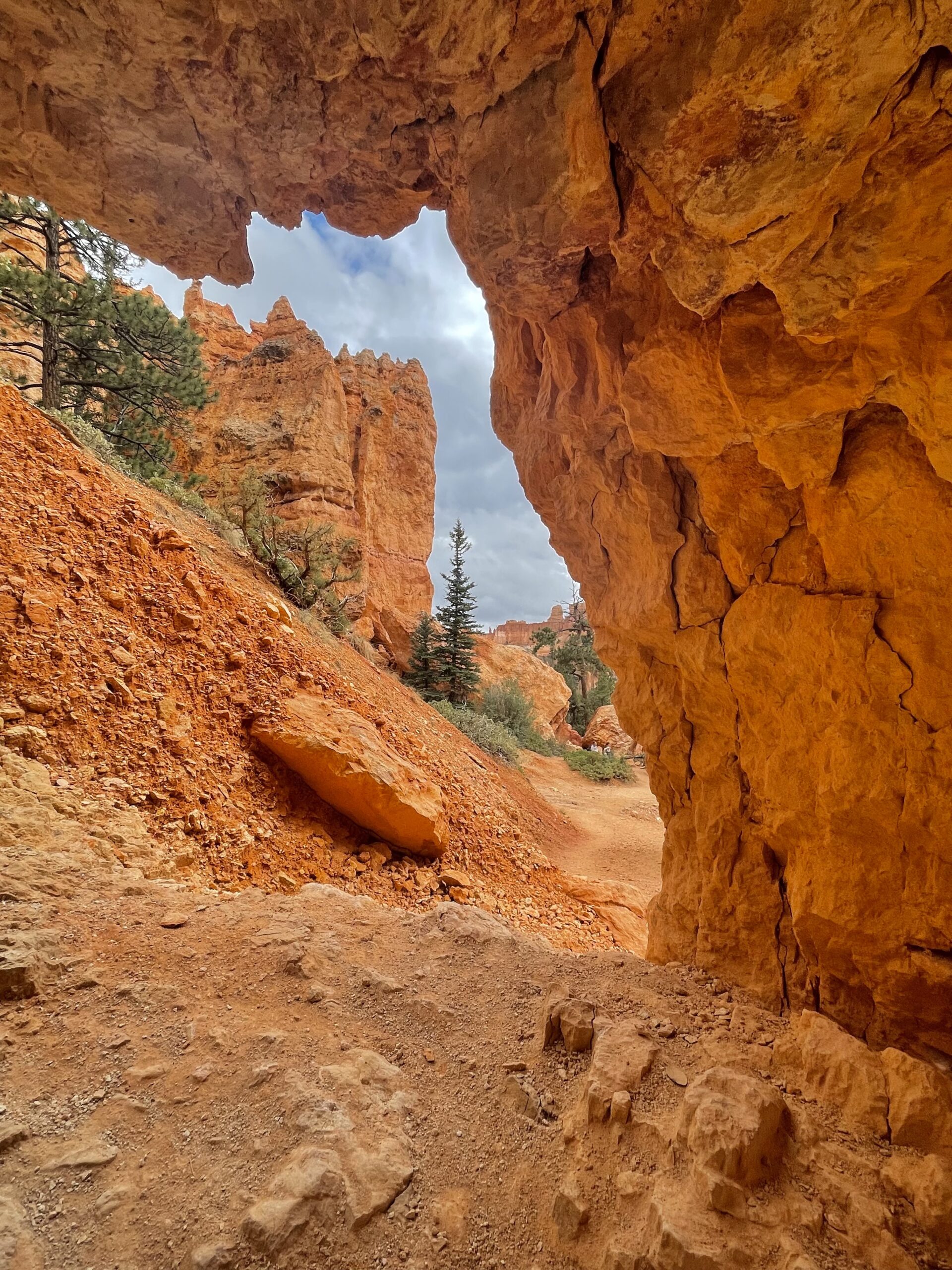 Arches National Park