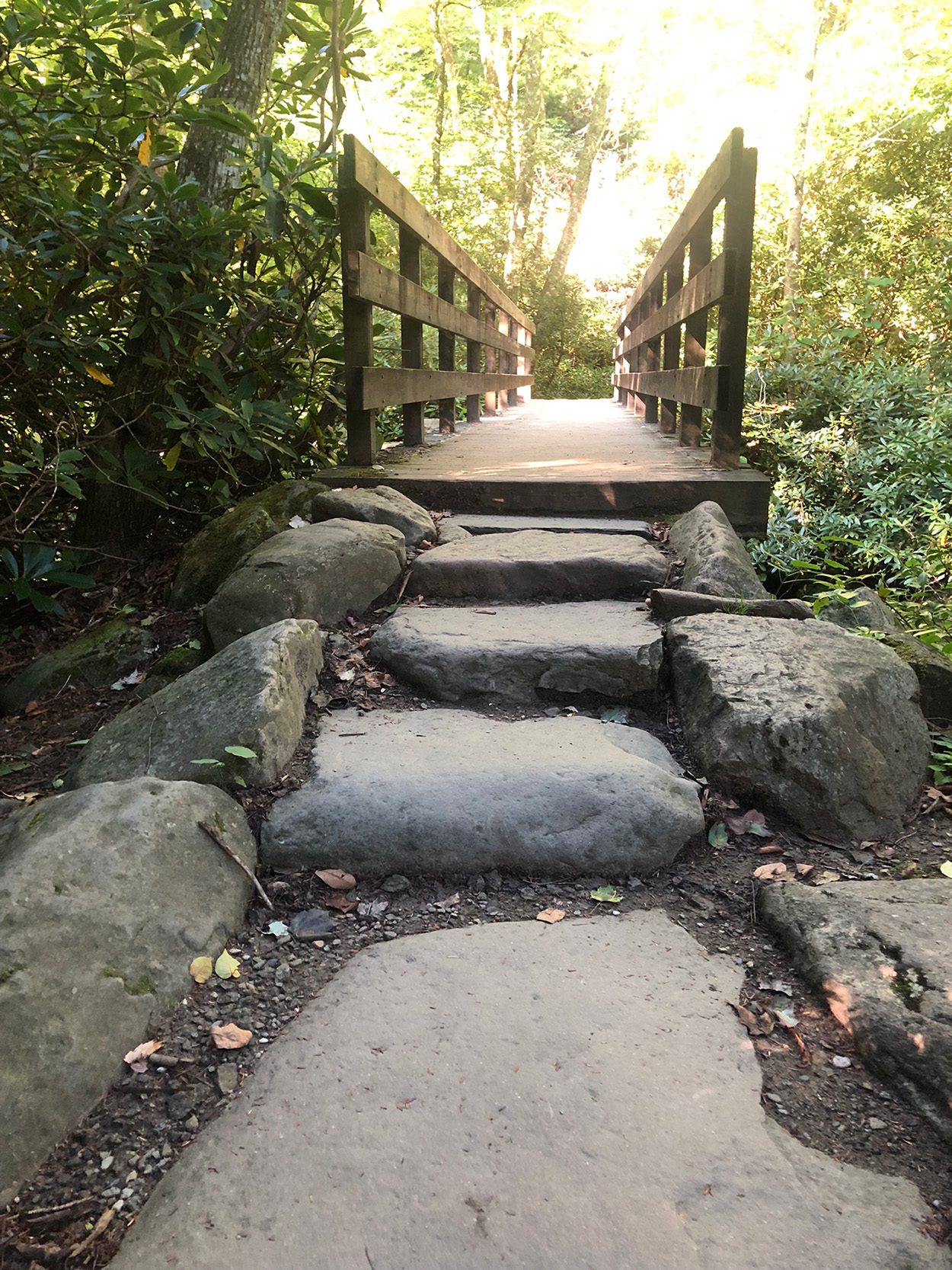 Smoky Mountains National Park