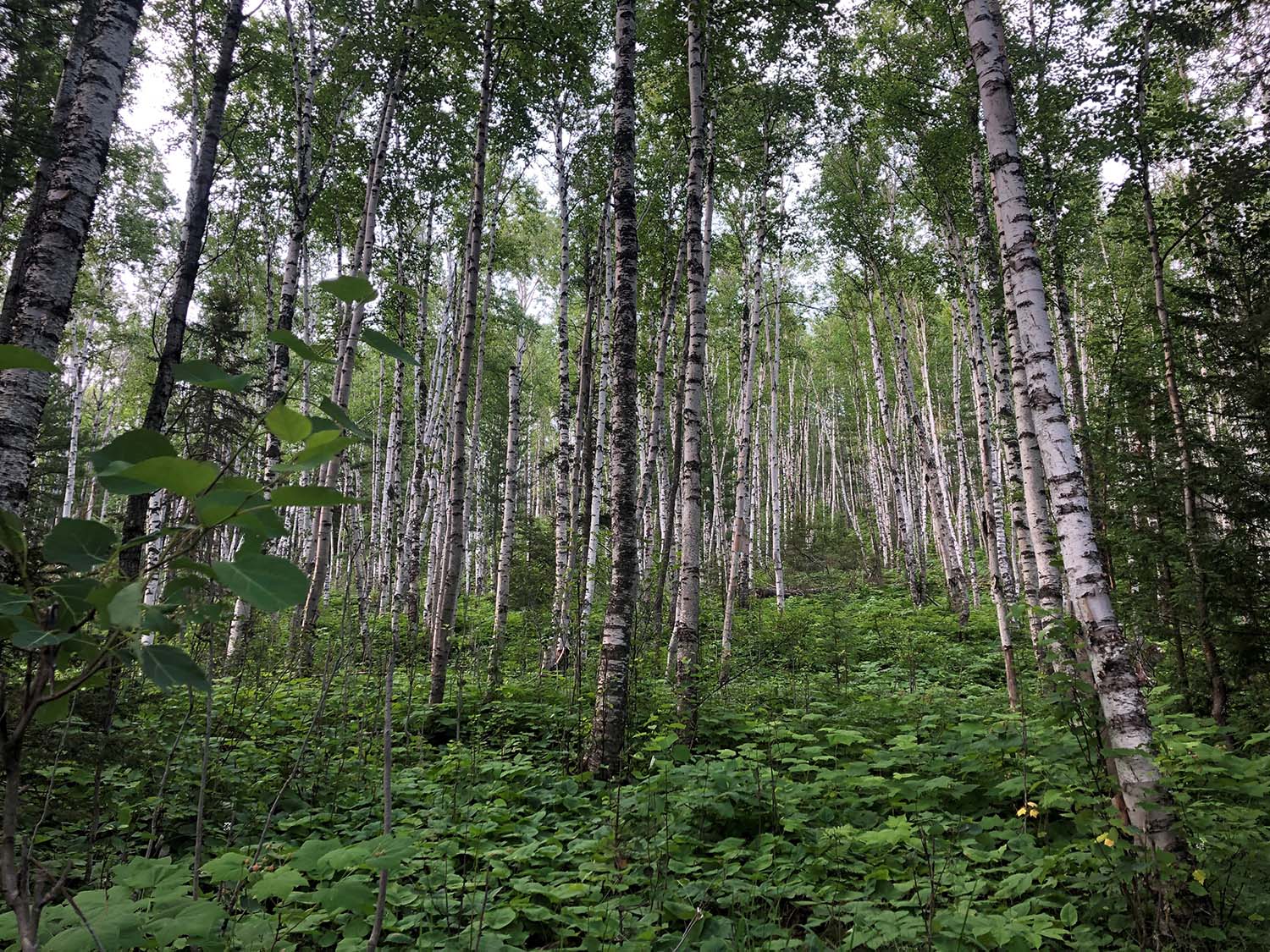 isle royale national park