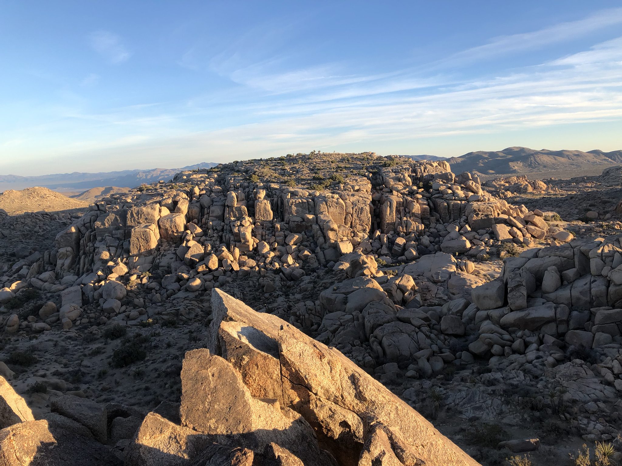 Joshua Tree National Park