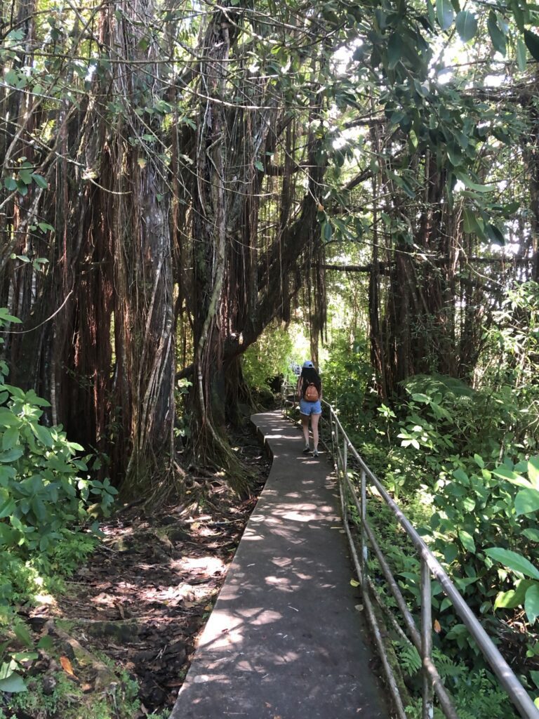 Hawaii Volcanoes National Park