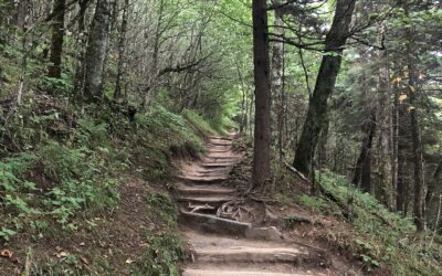 Best Smoky Mountain Hikes