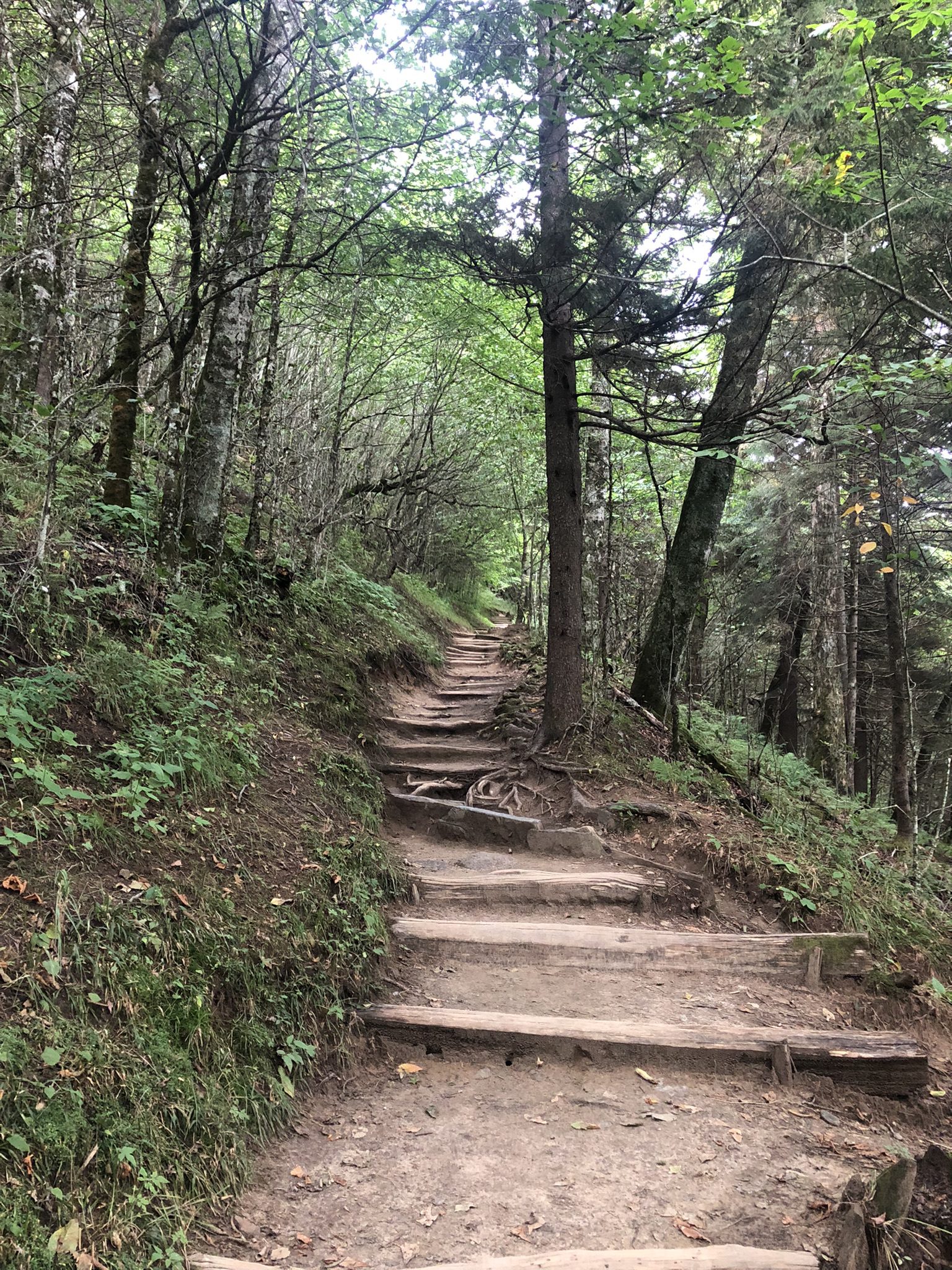 Best Smoky Mountain Hikes