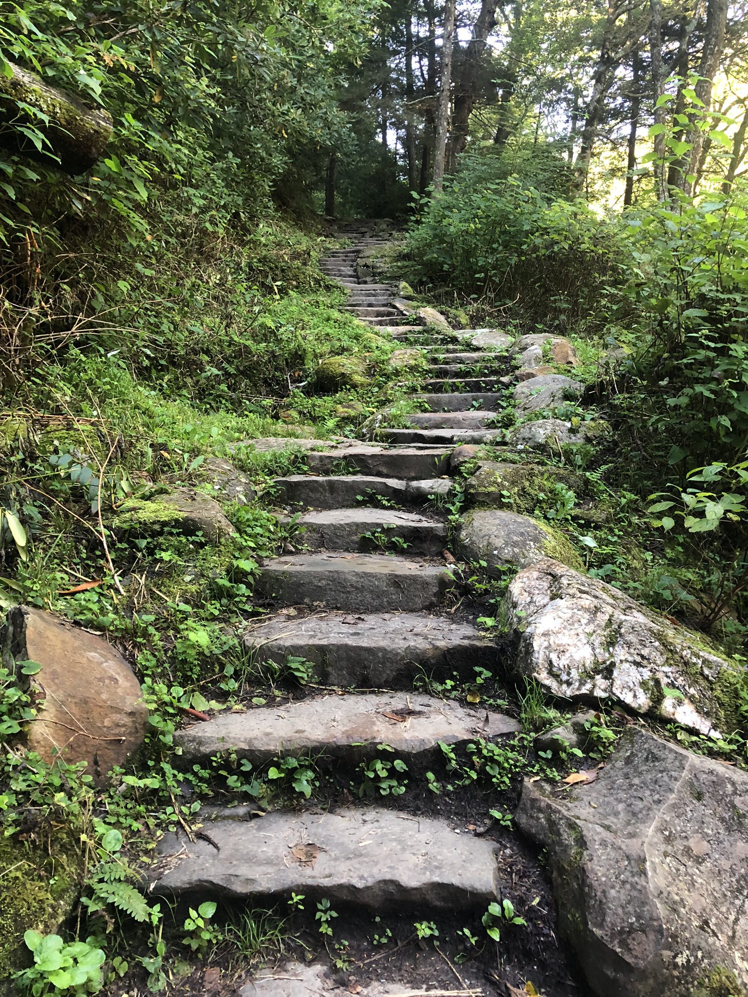 Best Smoky Mountain Hikes