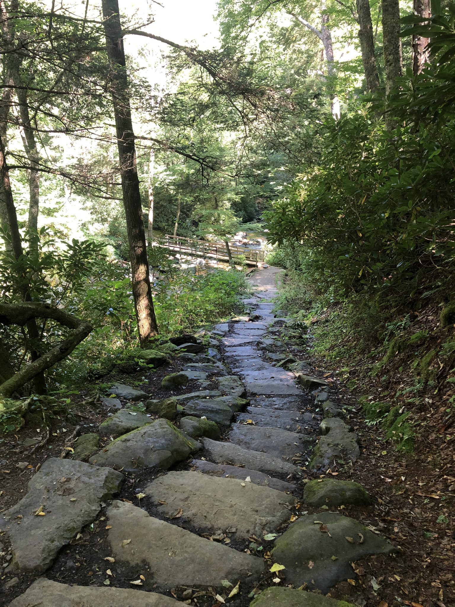 Smoky Mountains National Park