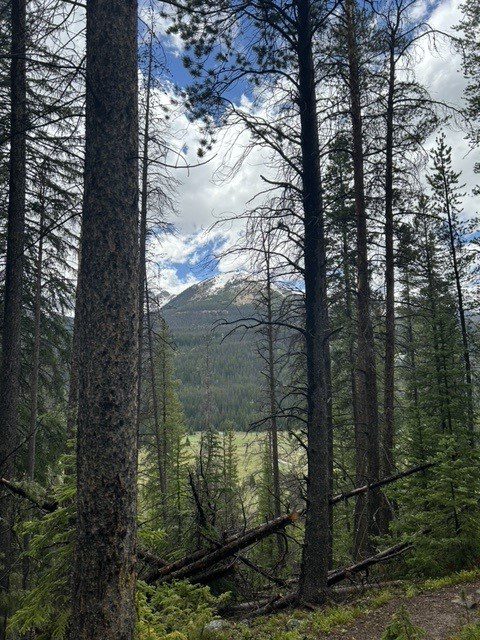 rocky mountain national park