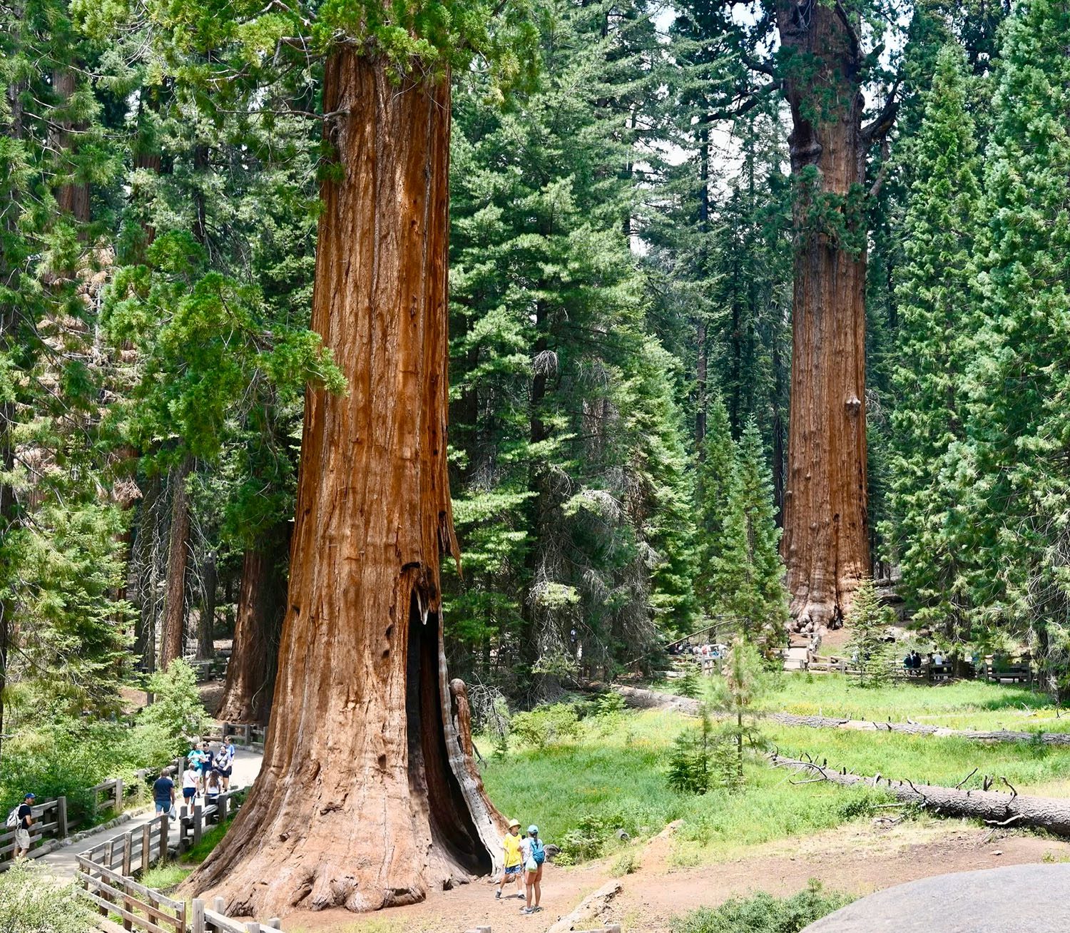 Sequoia National Park