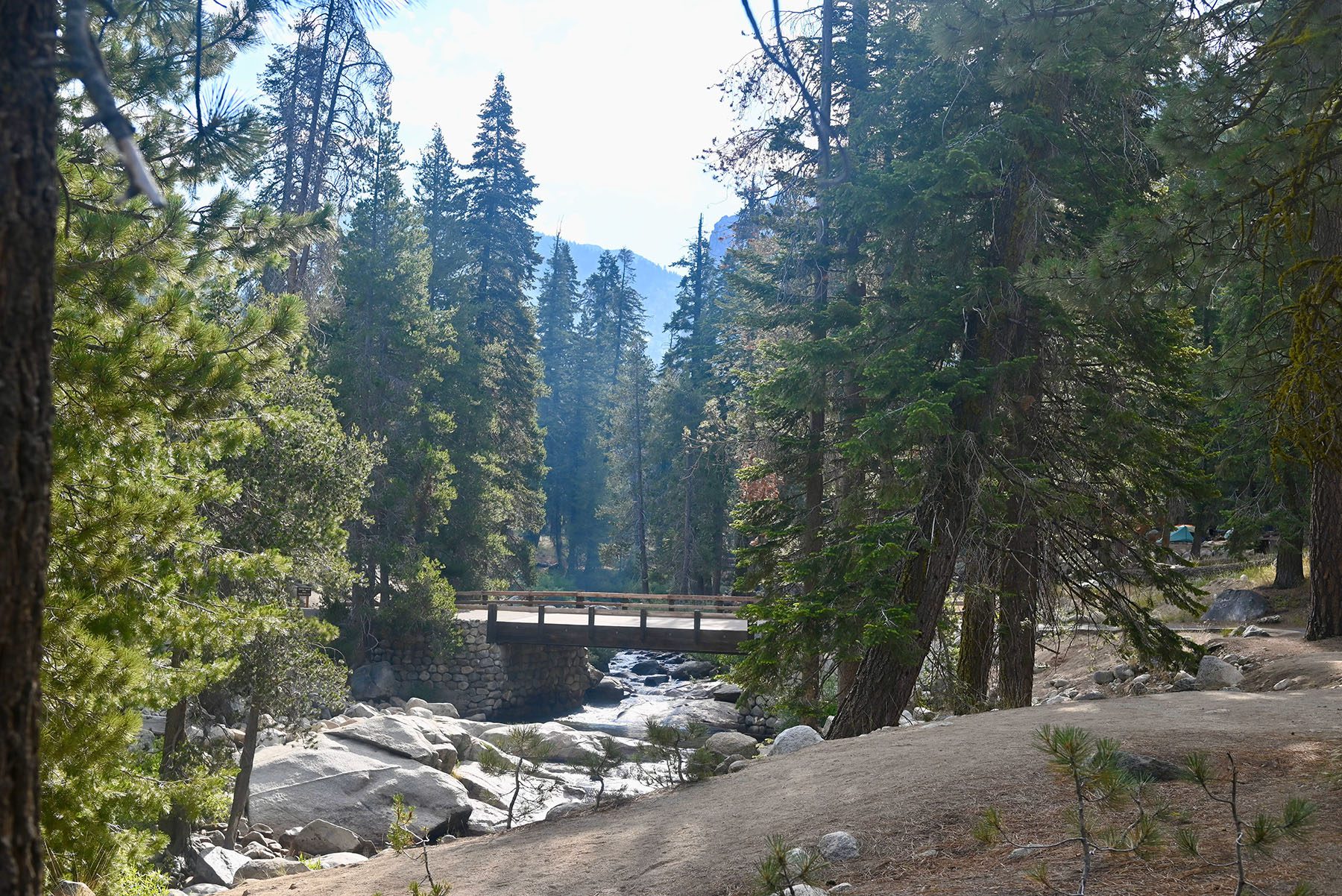 Sequoia National Park