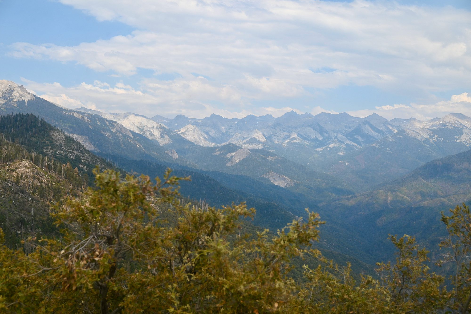 Sequoia National Park