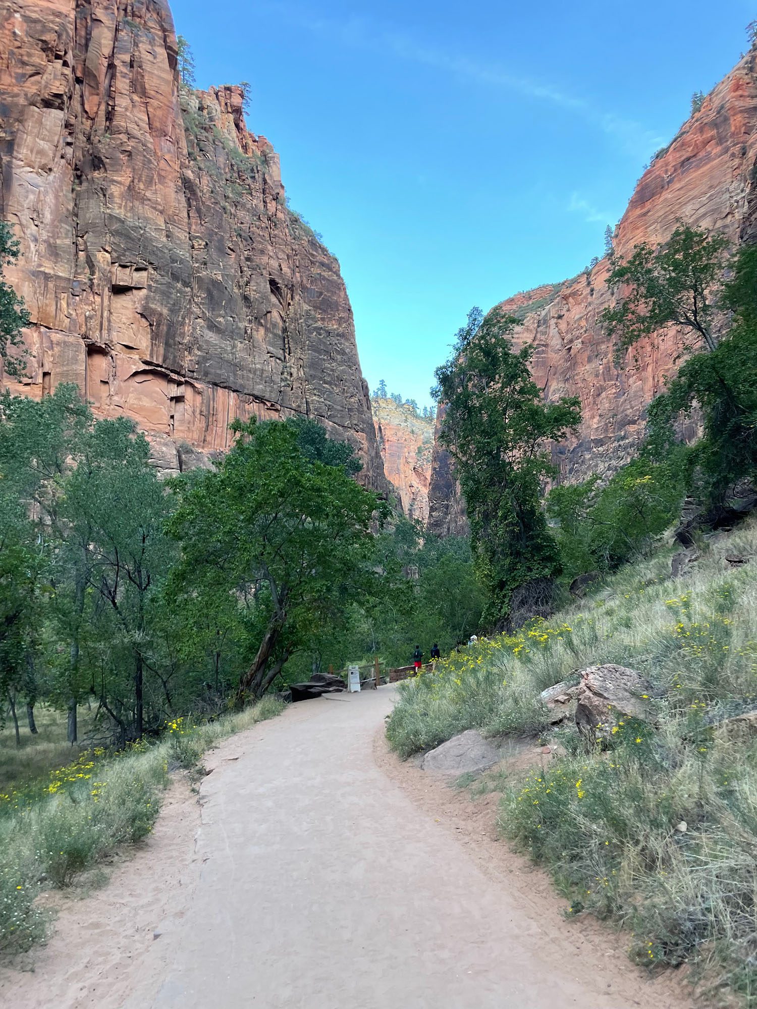 zion national park