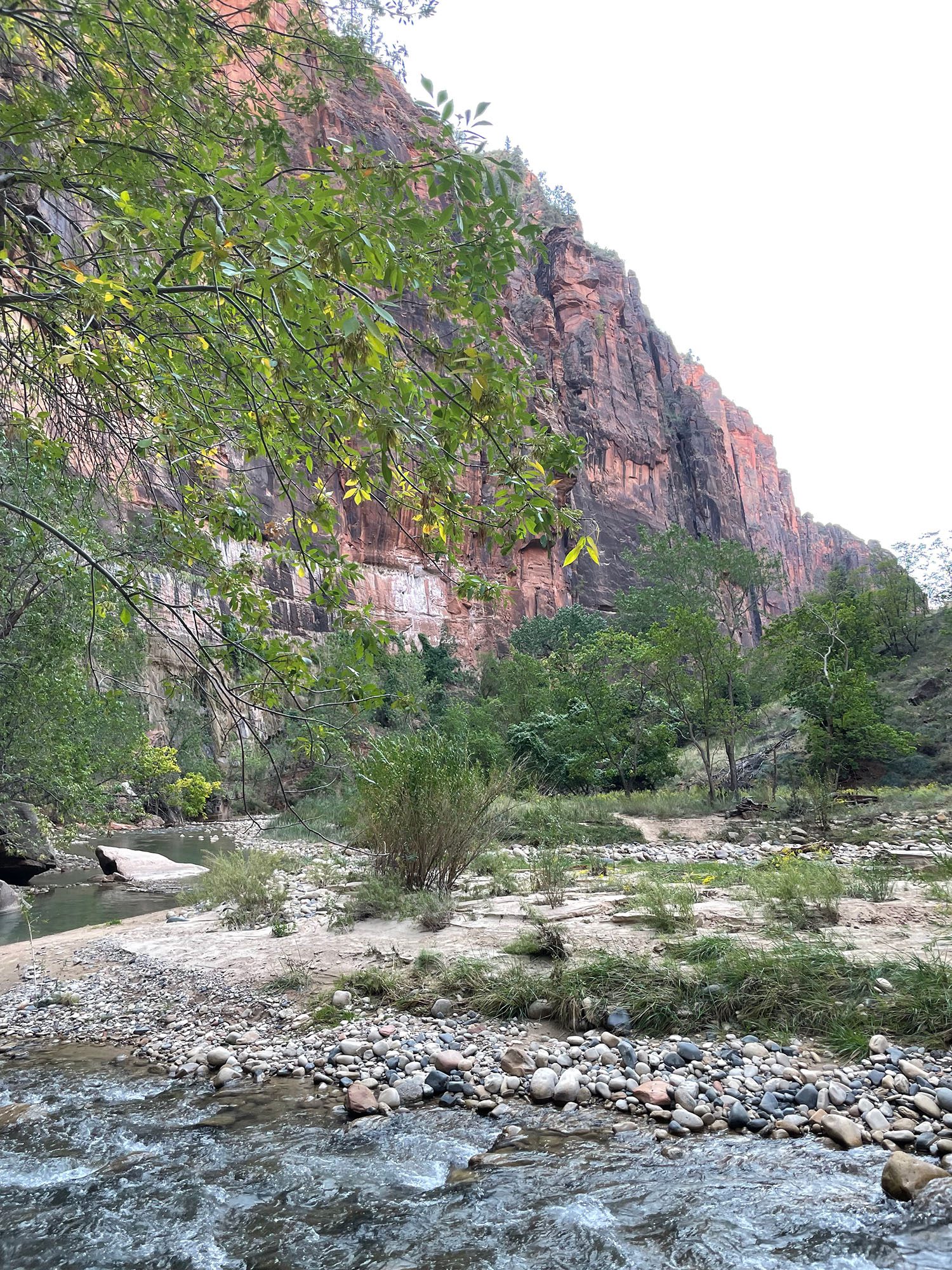 The Best Hikes in Zion National Park