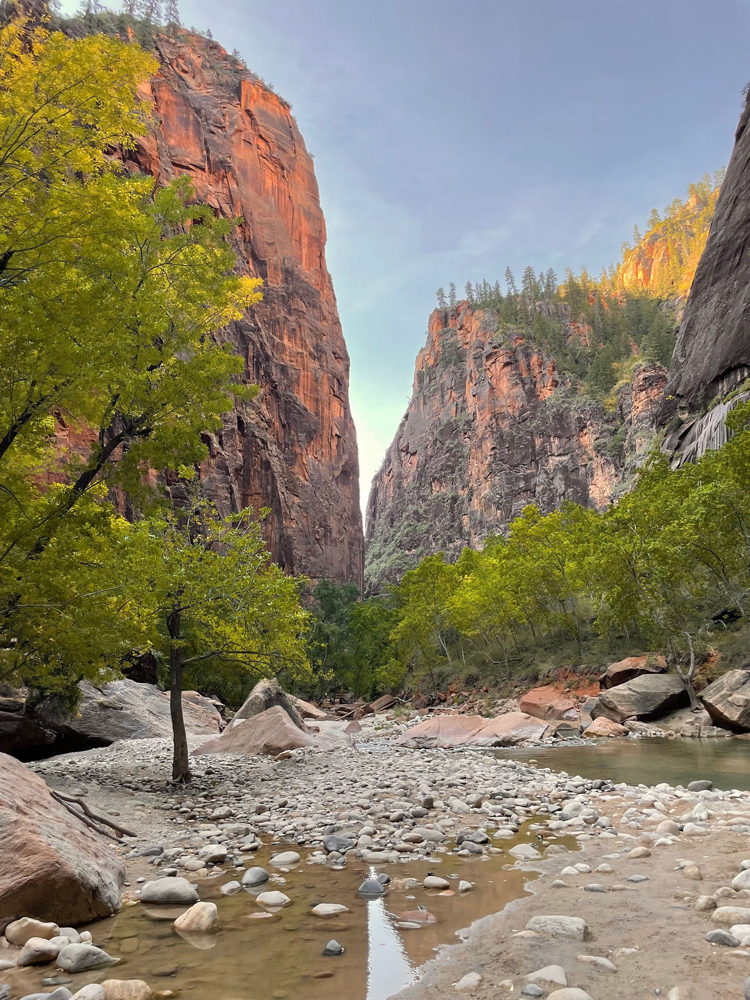 The Best Hikes in Zion National Park