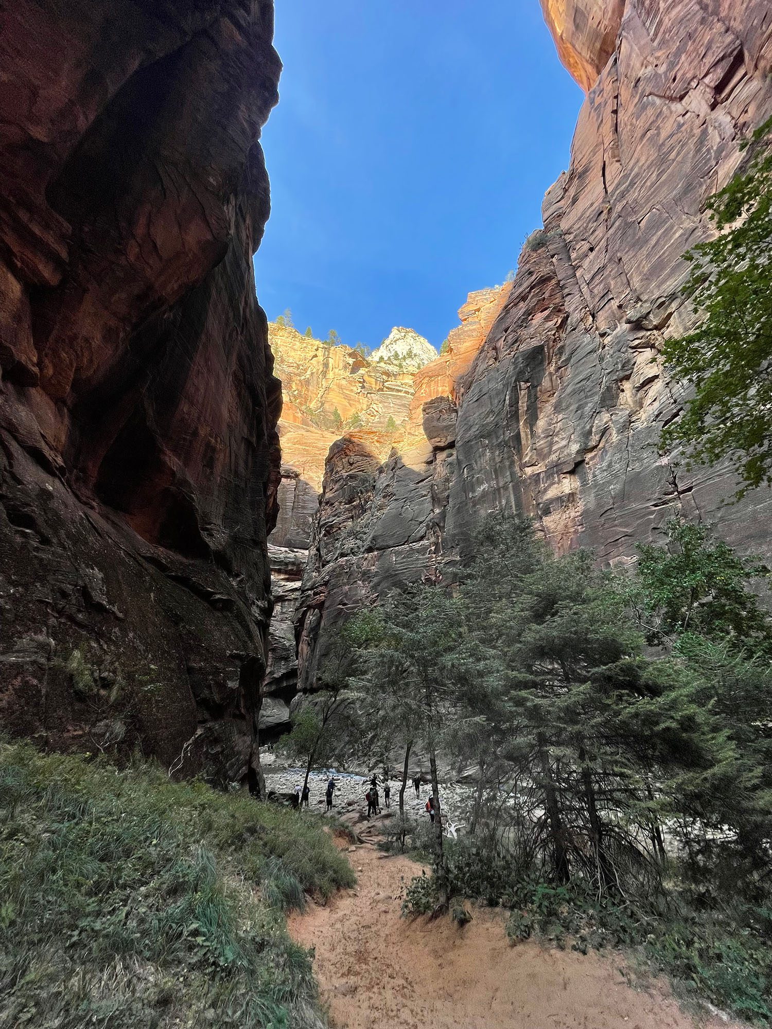 The Best Hikes in Zion National Park