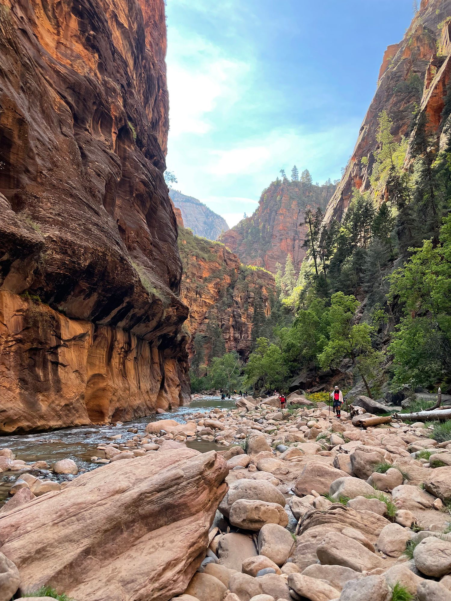 zion national park