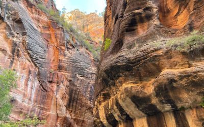 Best Hikes in Zion National Park