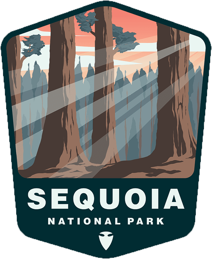 Forest National Parks