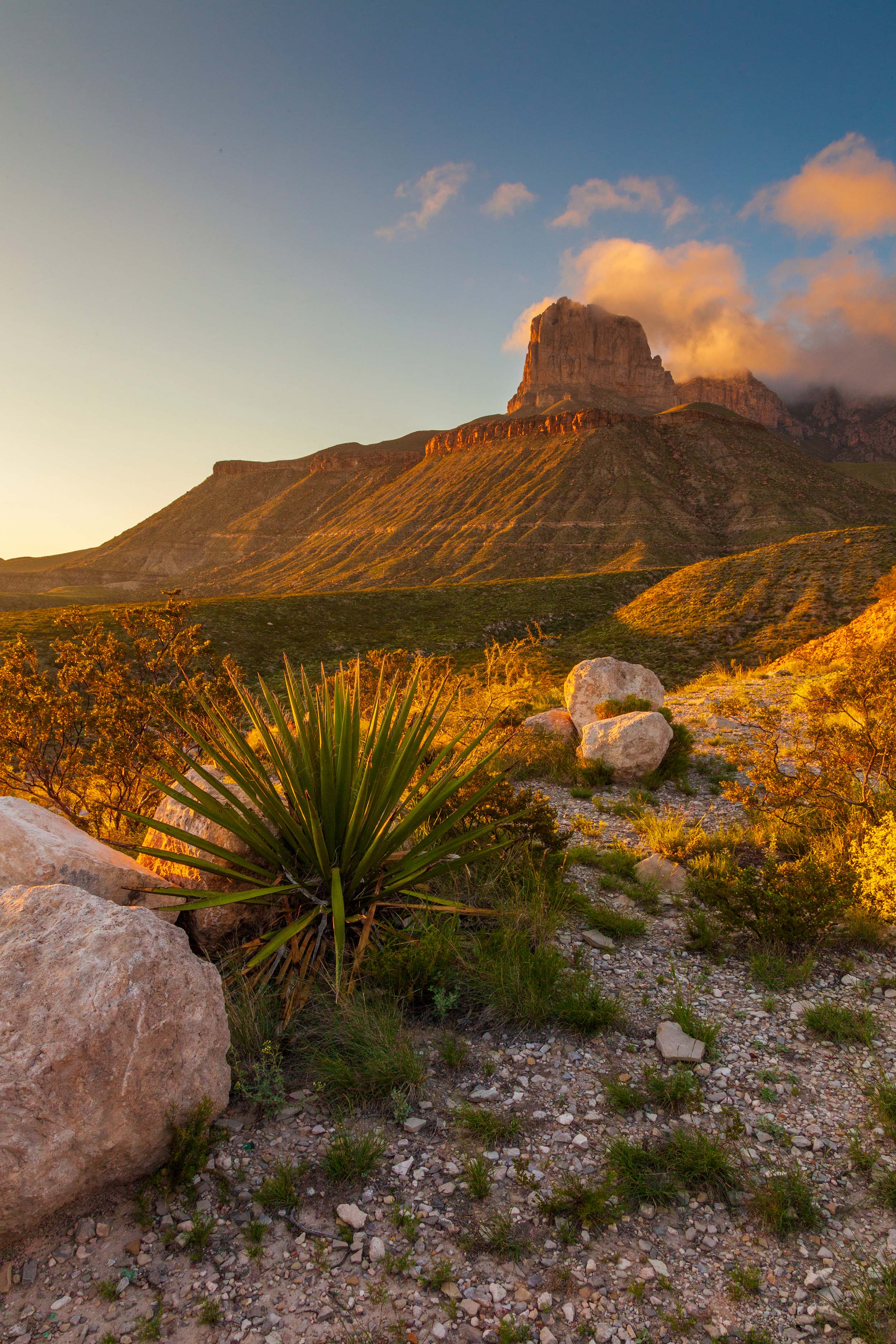 guadalupe mountains national park