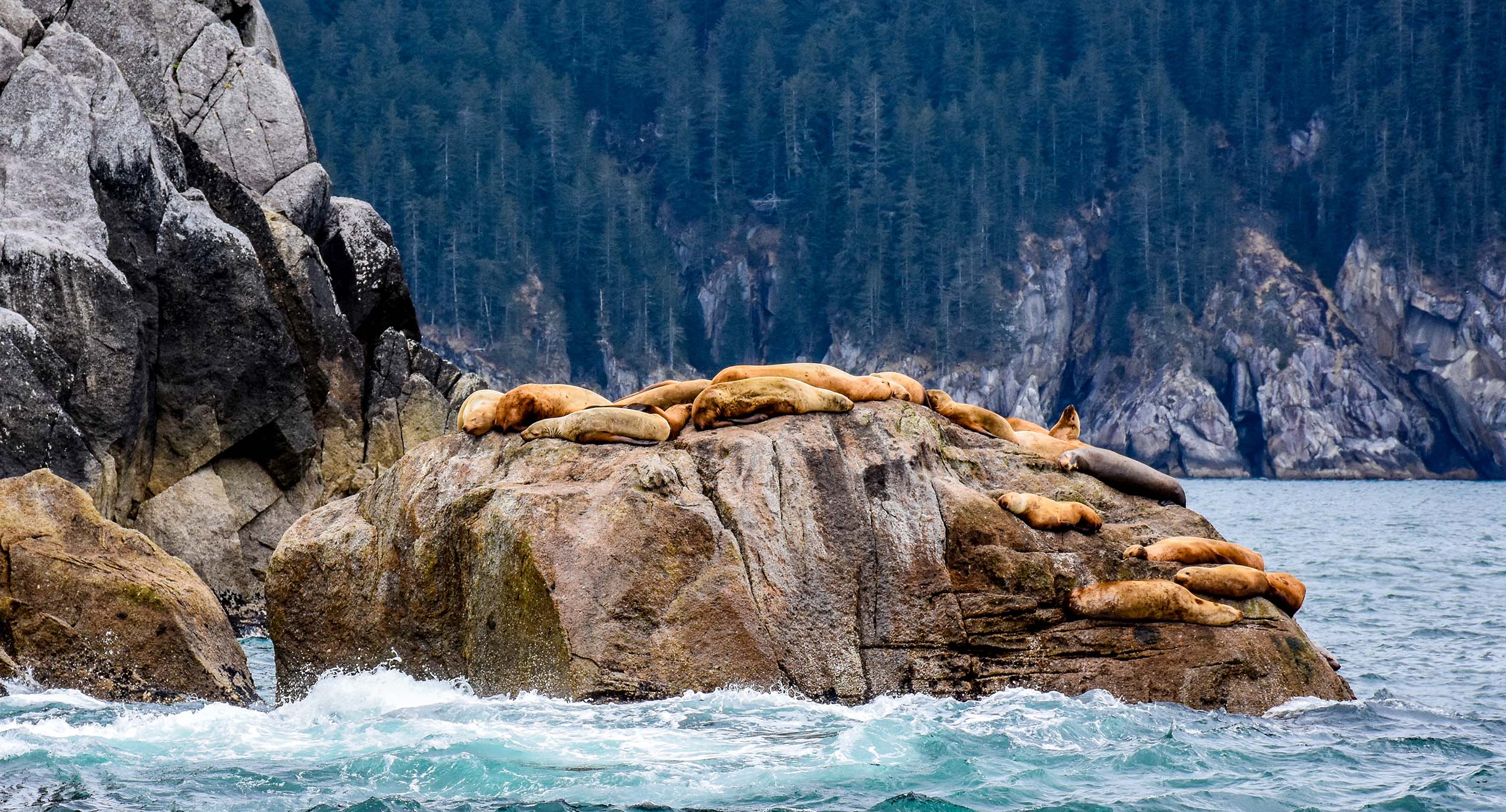 kenai fjords national park