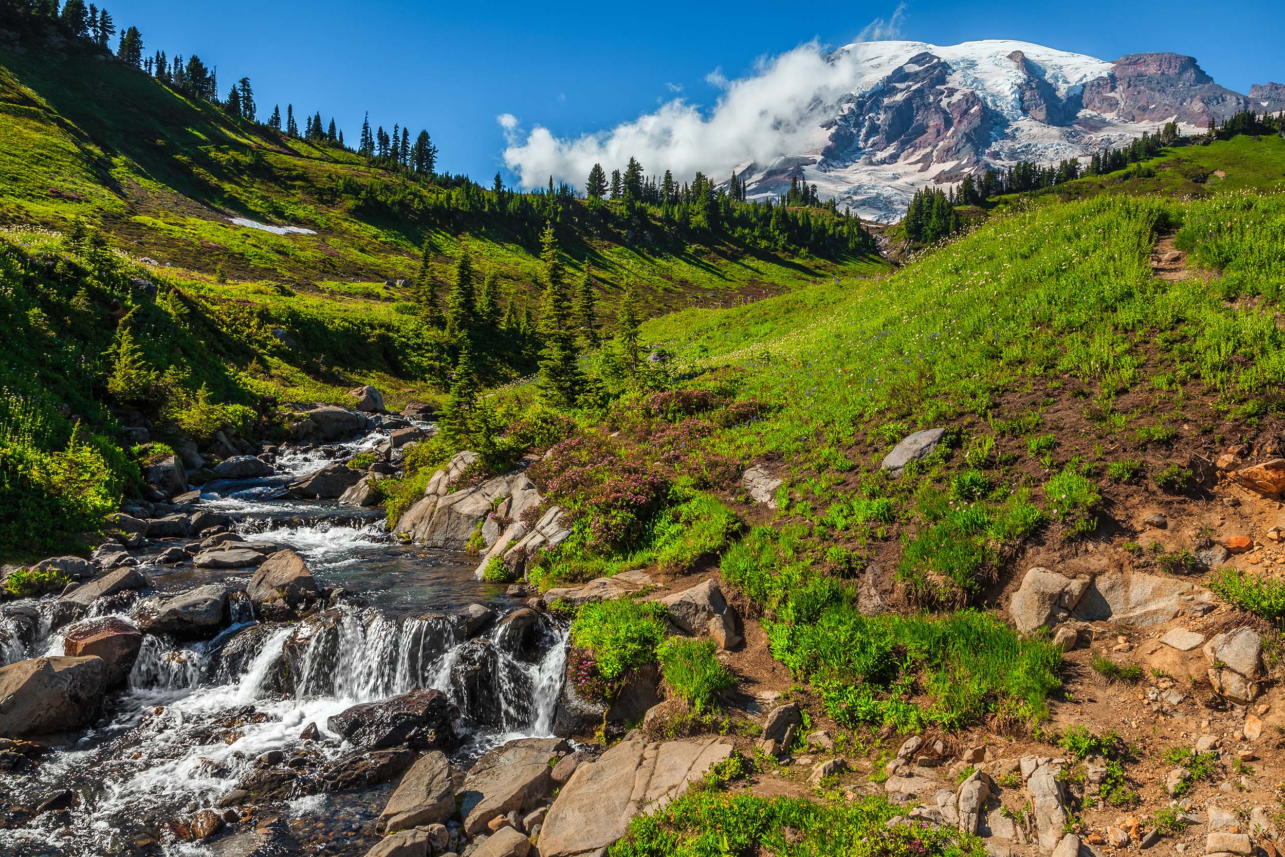 mount rainier national park
