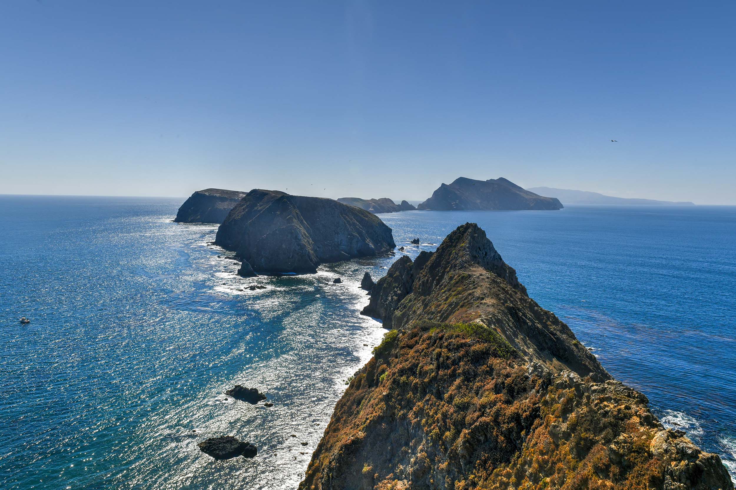 channel islands national park