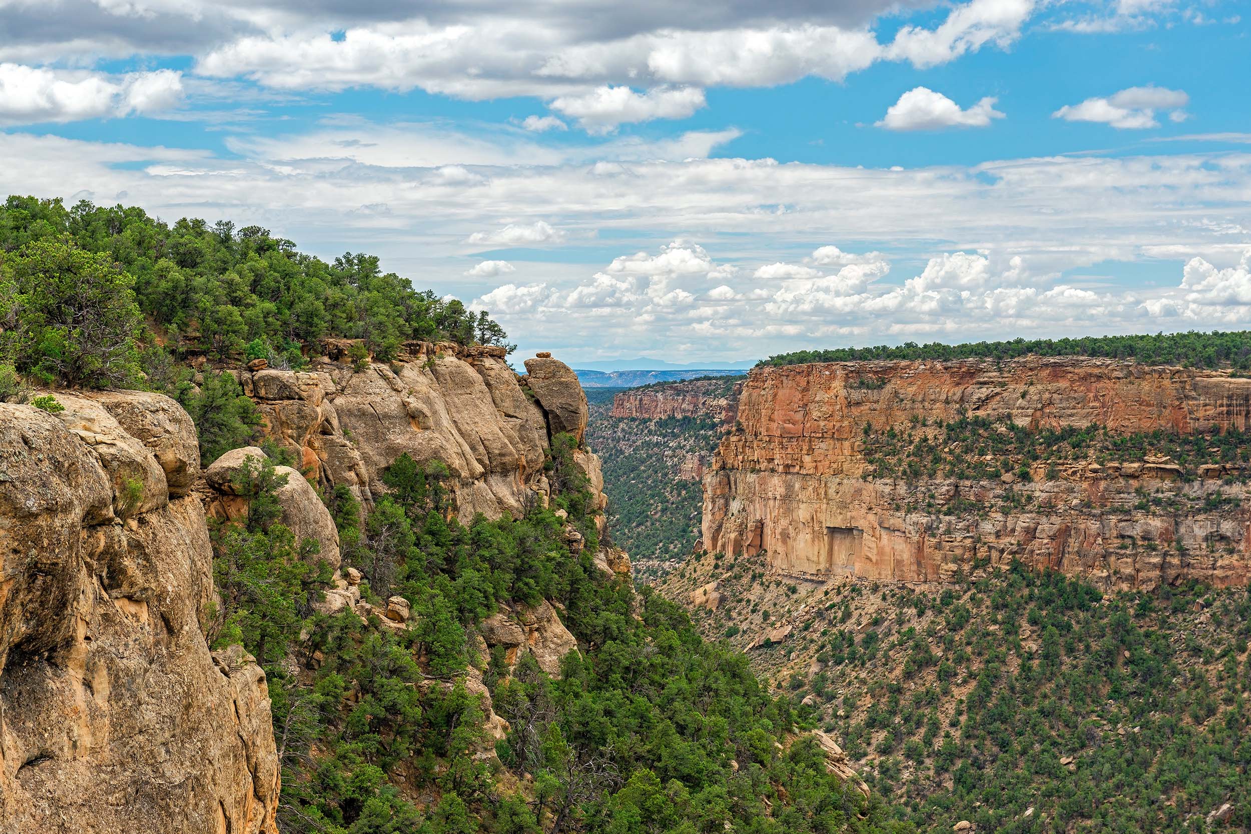 mesa verde national park