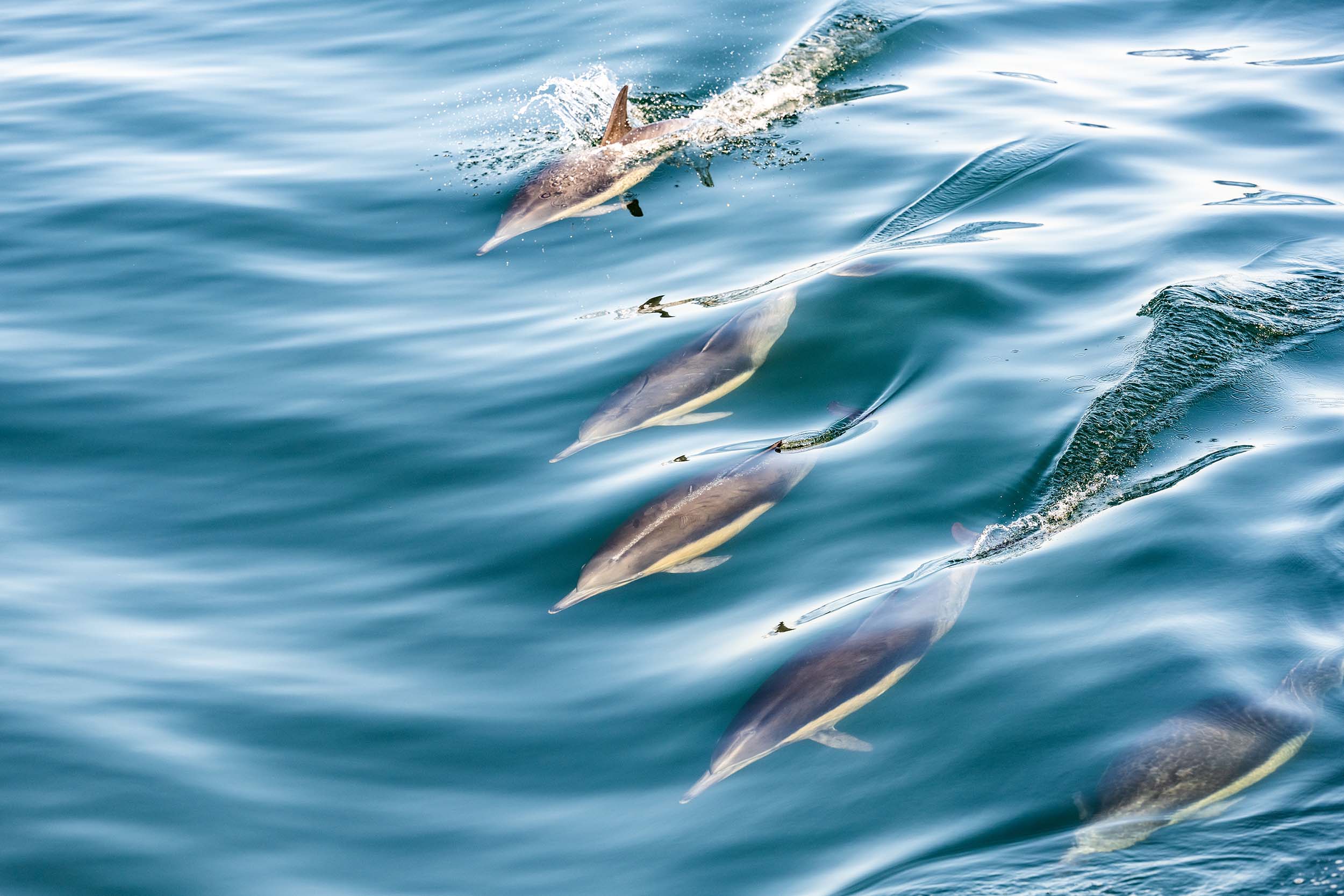 Coastal National Parks