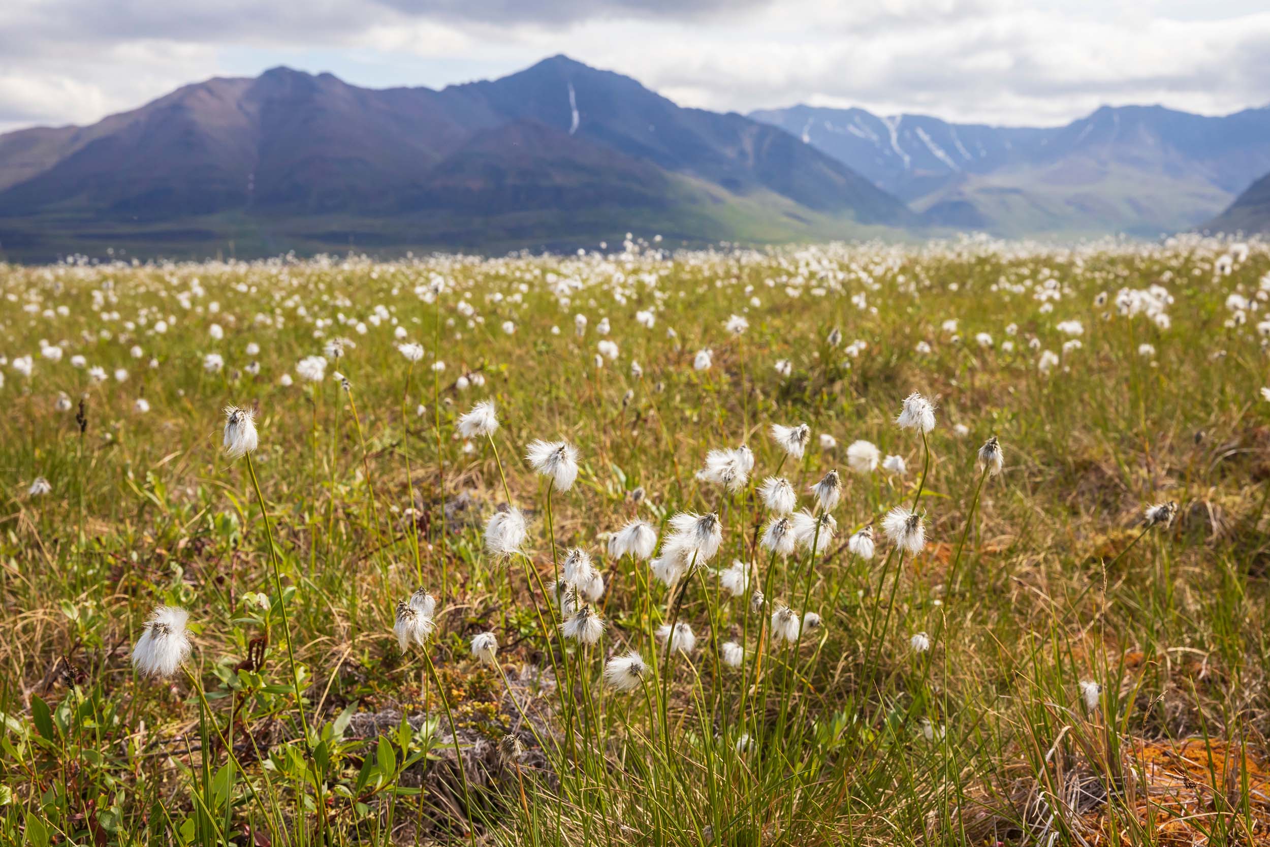 gates of the arctic national park
