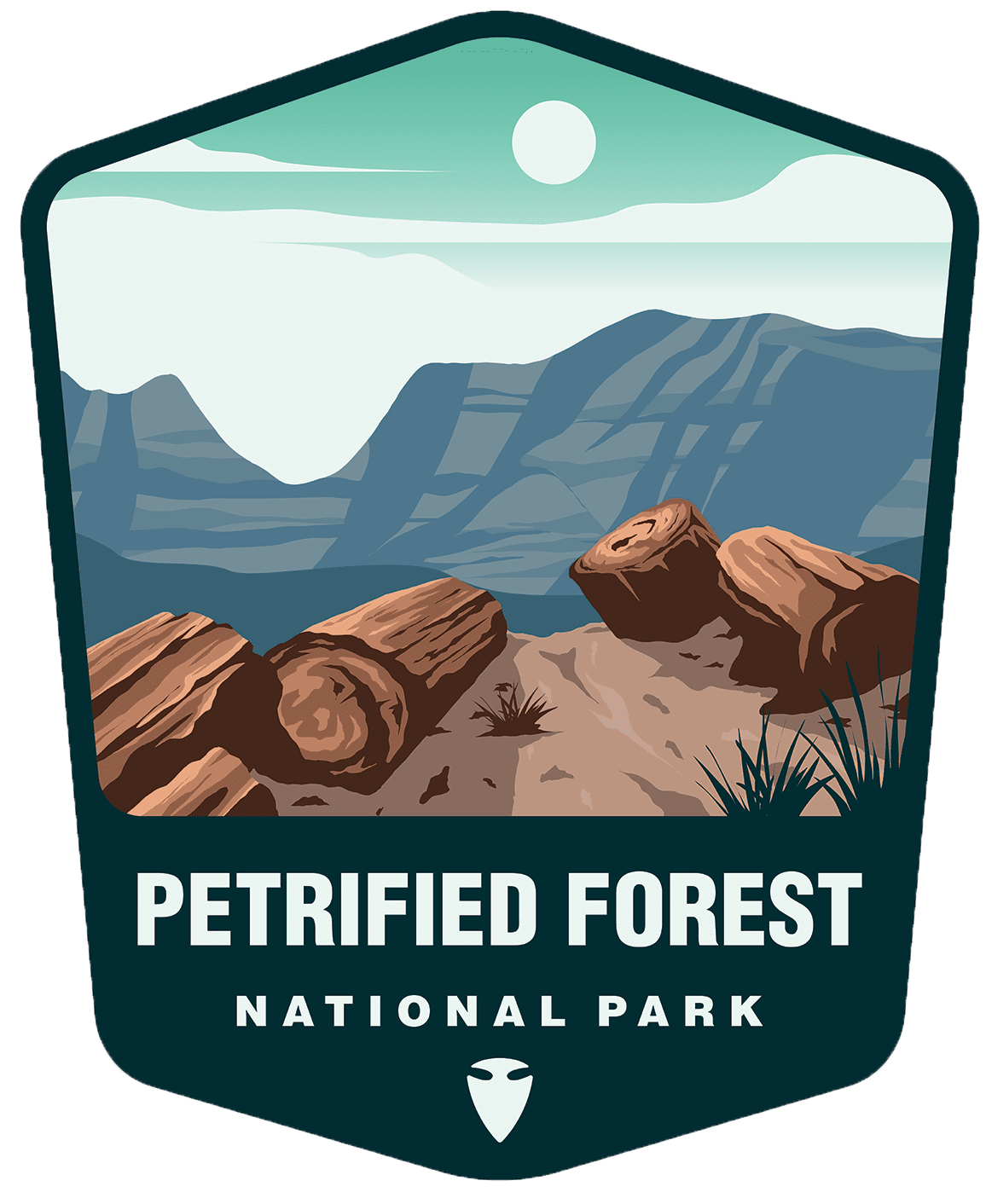 petrified forest national park