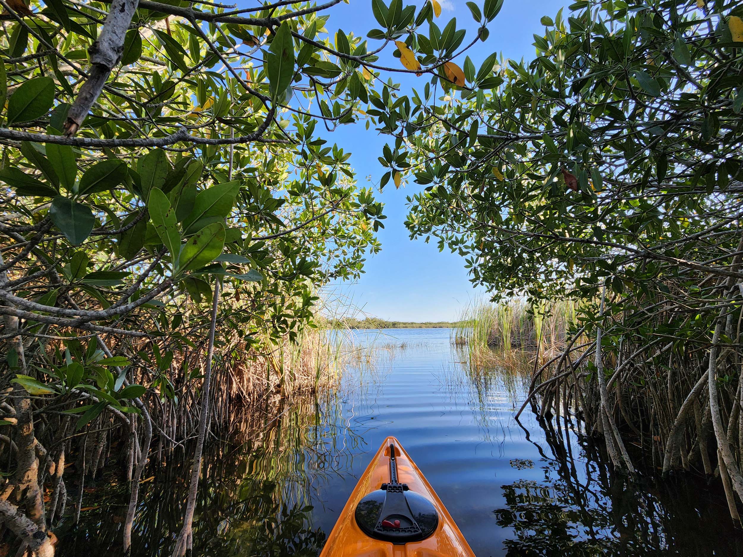 everglades national park