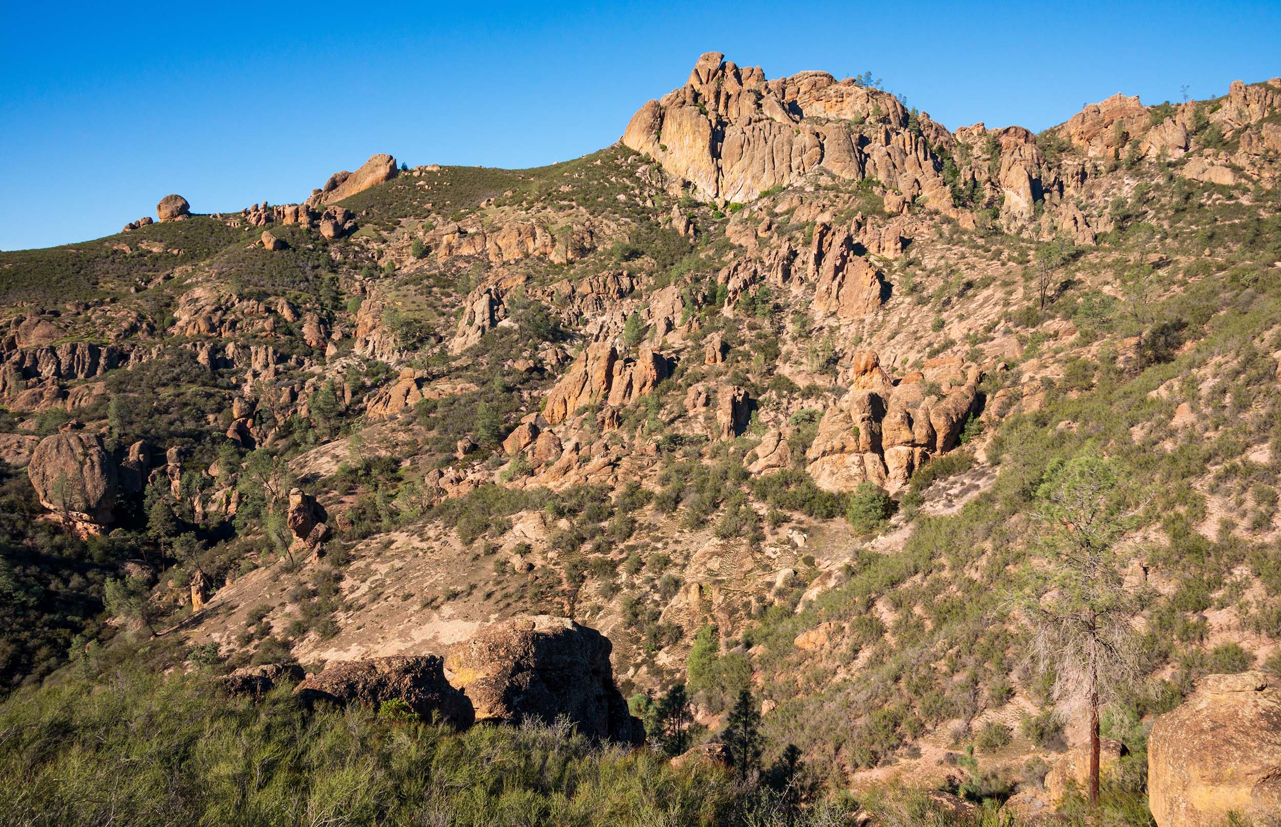 pinnacles national park