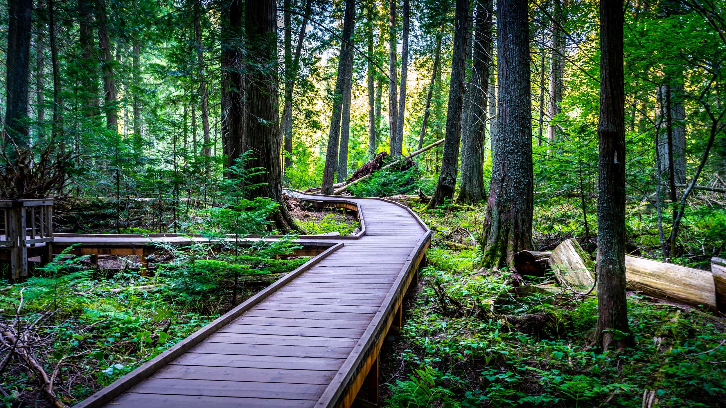 glacier national park