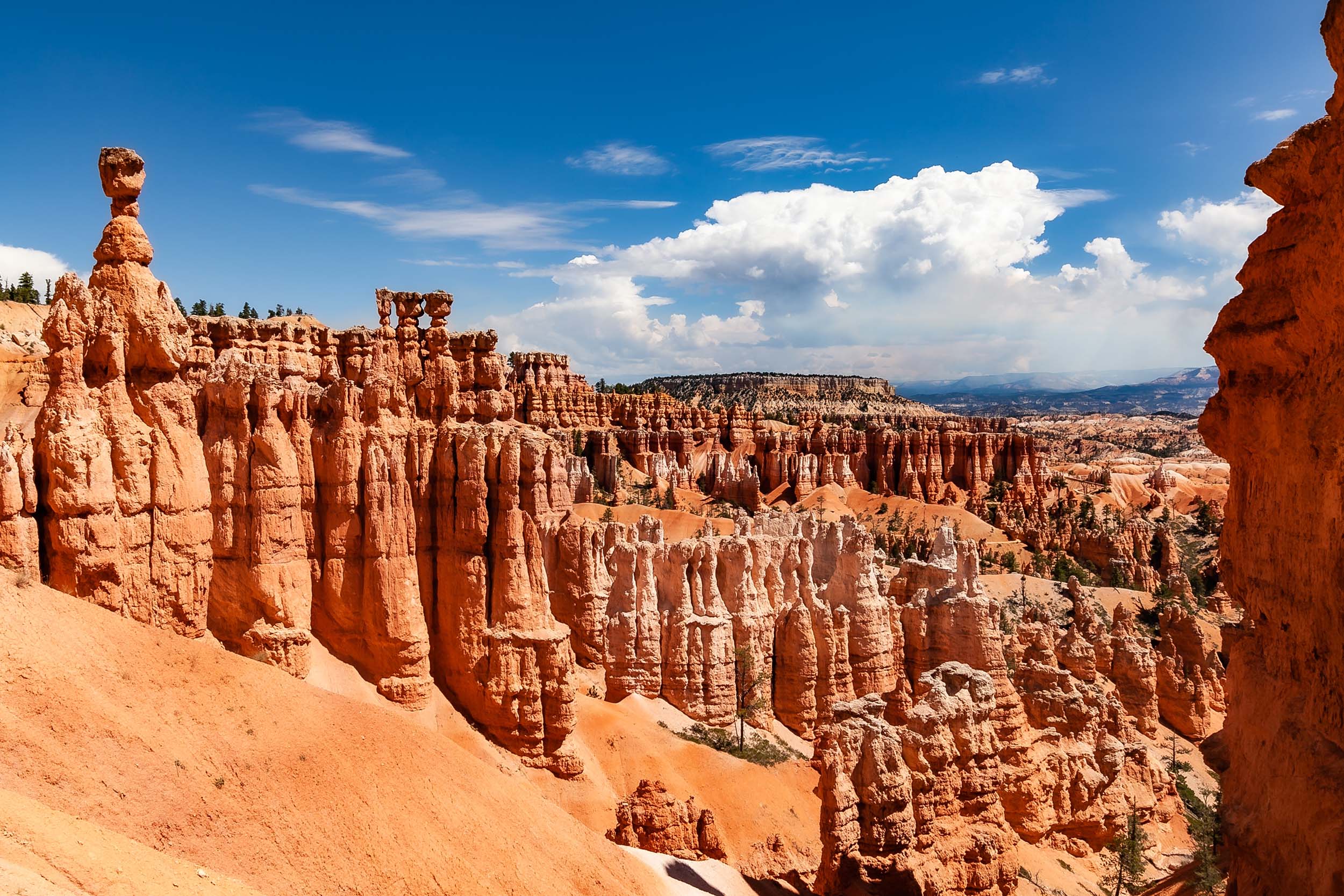 shutterstock_2315566621 bryce canyon national park