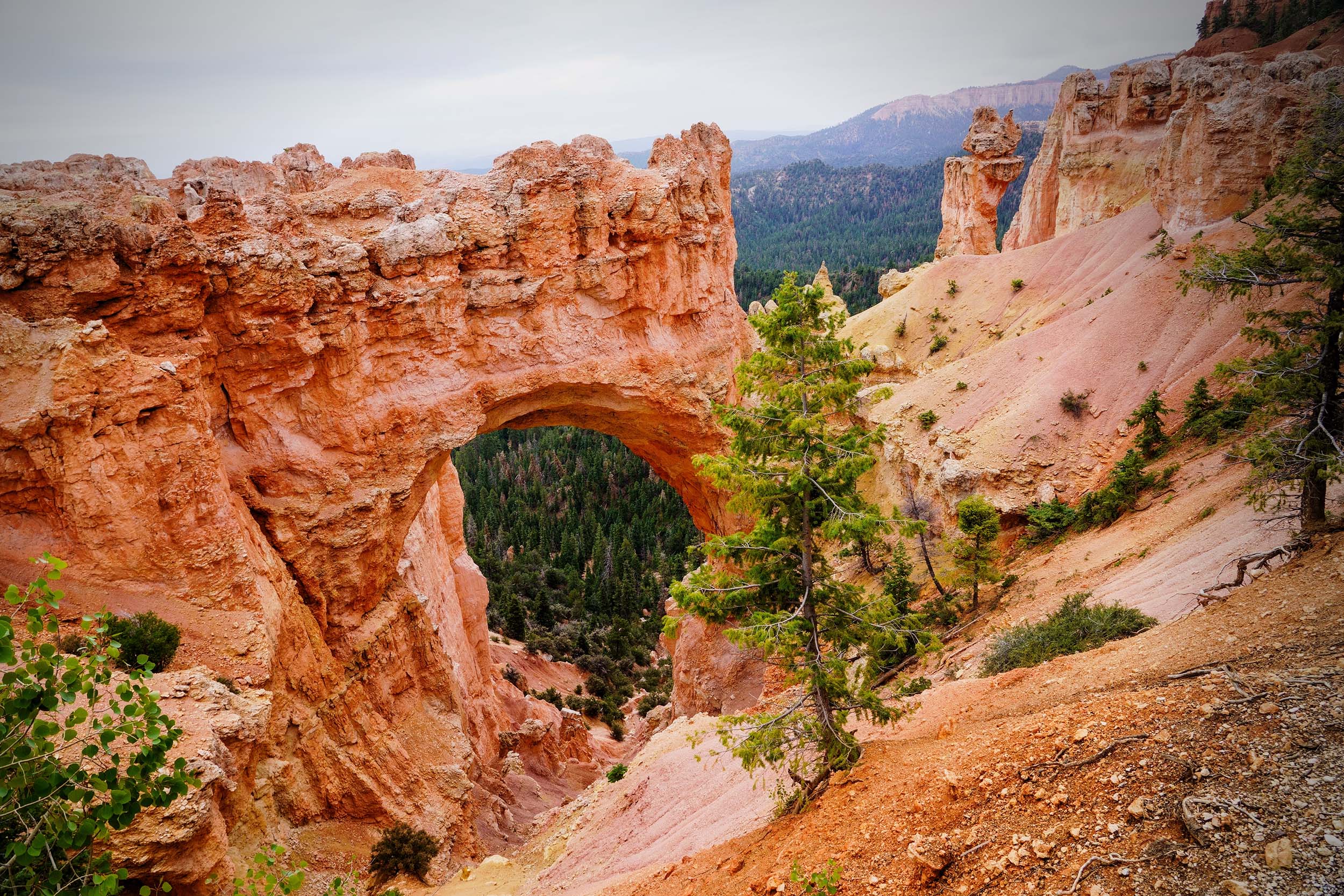 shutterstock_2368728835 bryce canyon national park