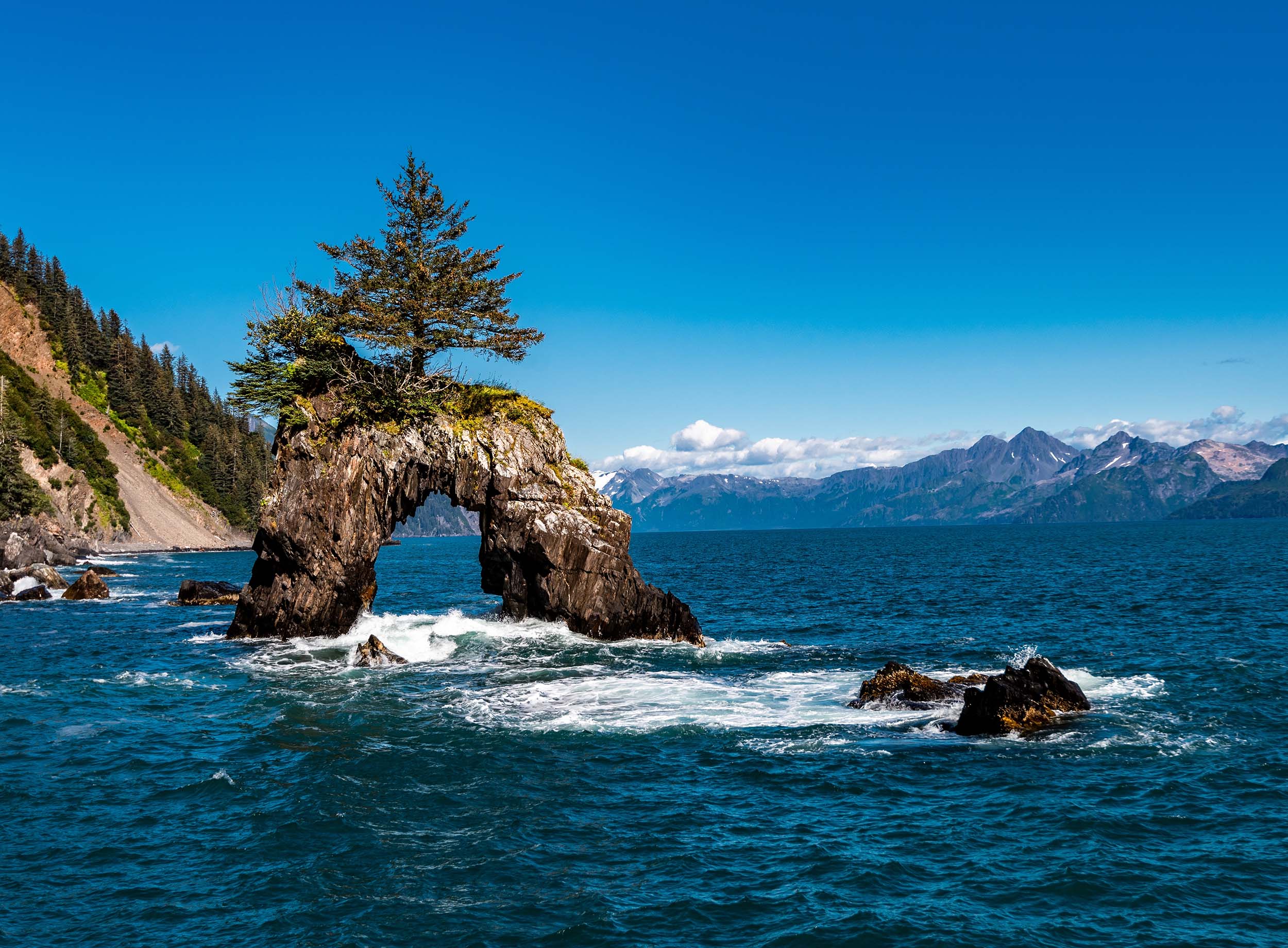 kenai fjords national park