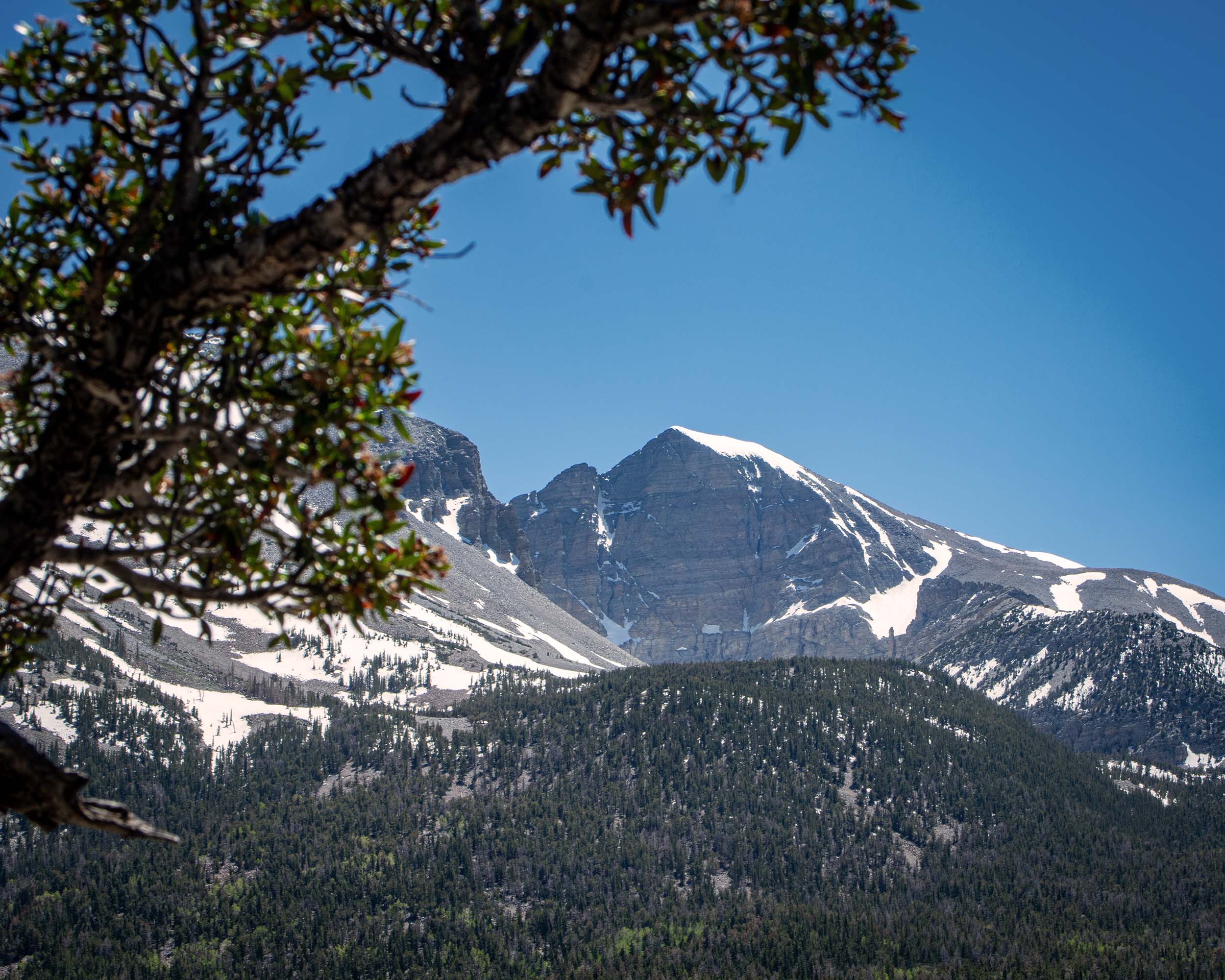 Great,Basin,National,Park,Wheeler,Peak great basin national park