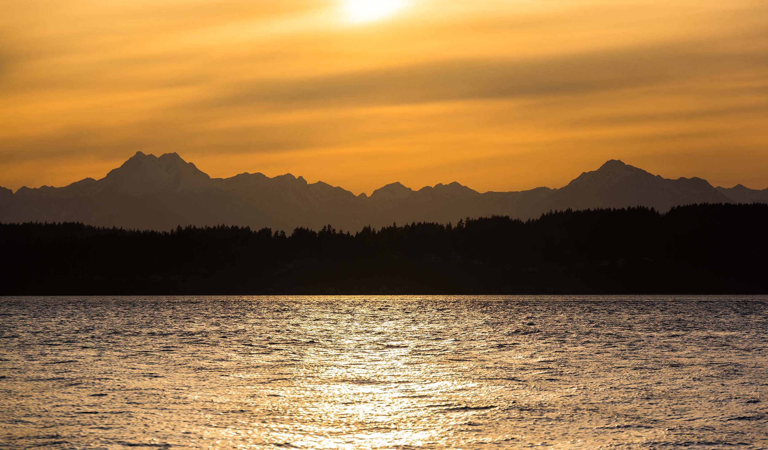 olympic national park