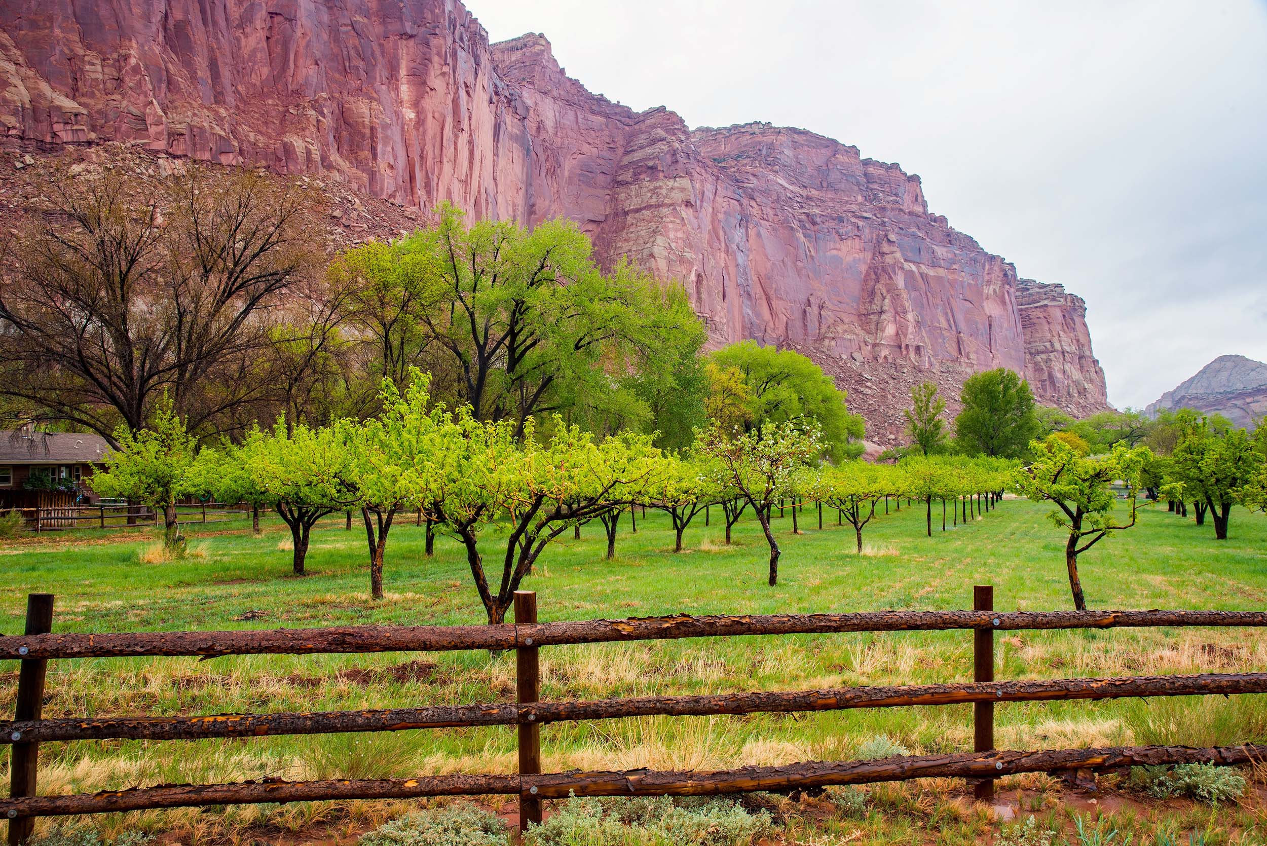 capitol reef national park