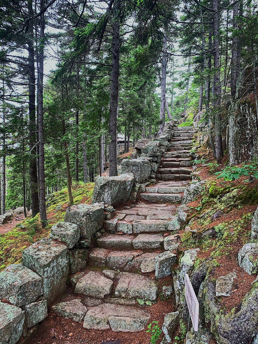 Acadia National Park coastal landscape
