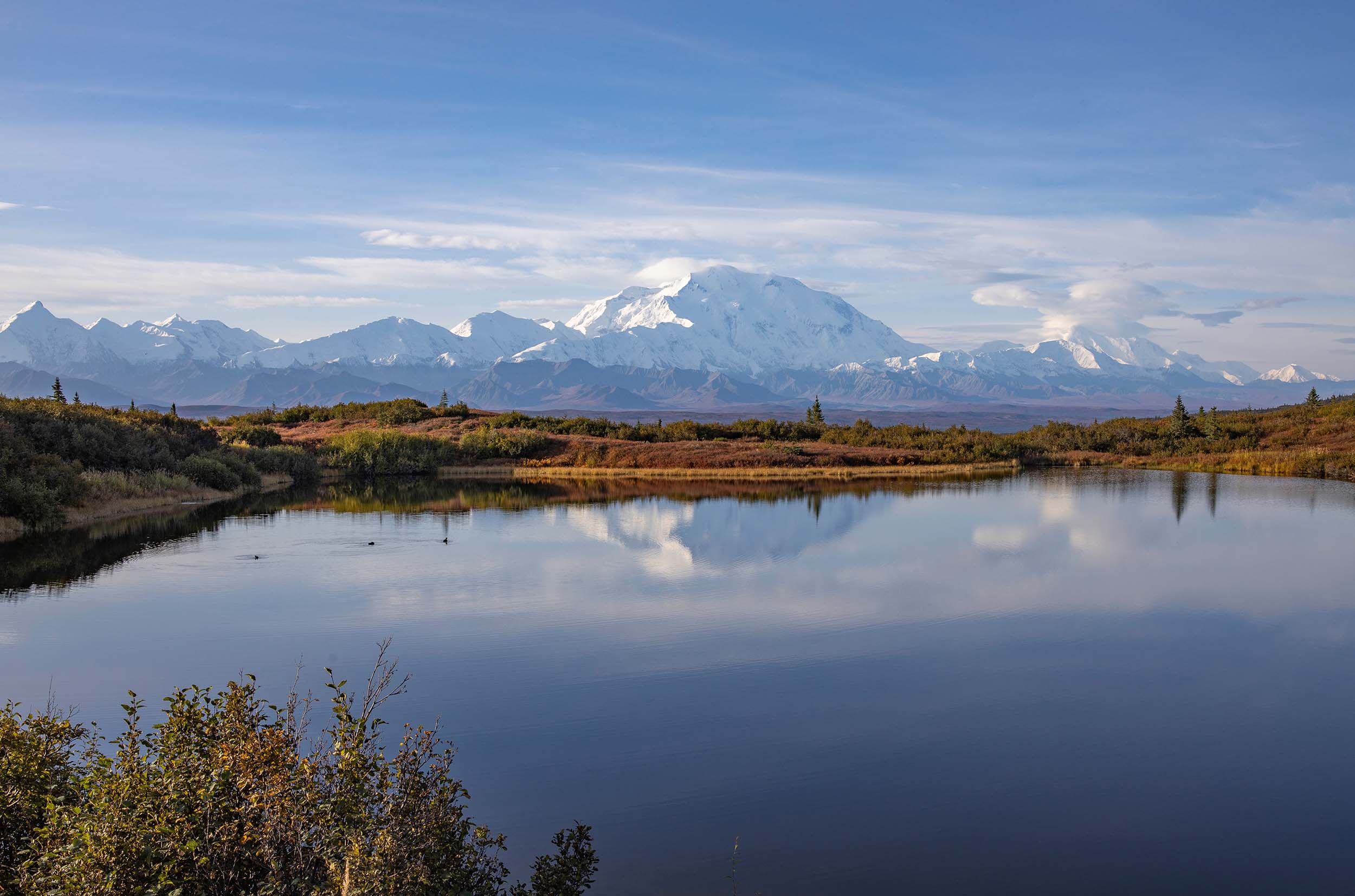 denali national park