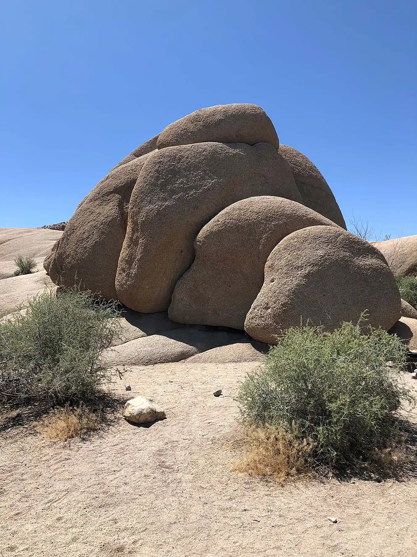 joshua tree national park camping