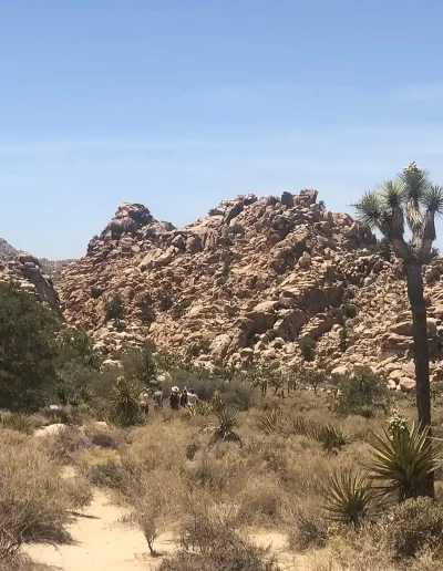 Joshua Tree National Park Camping