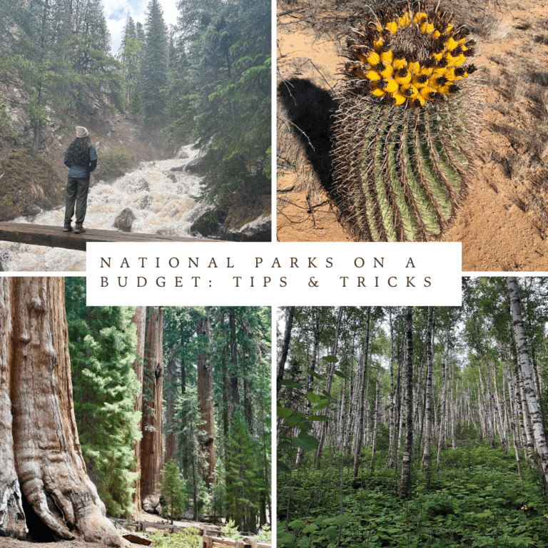 National Parks on a Budget: Tips & Tricks - Wild Wanderers Almanac