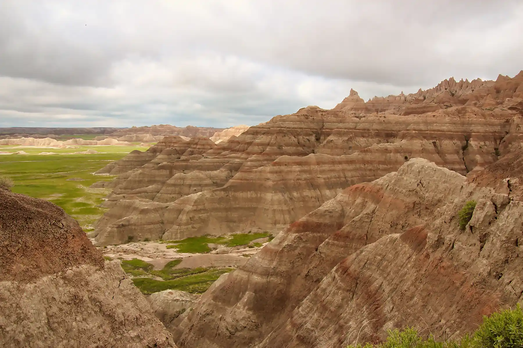 Wildlife at Katmai National Park