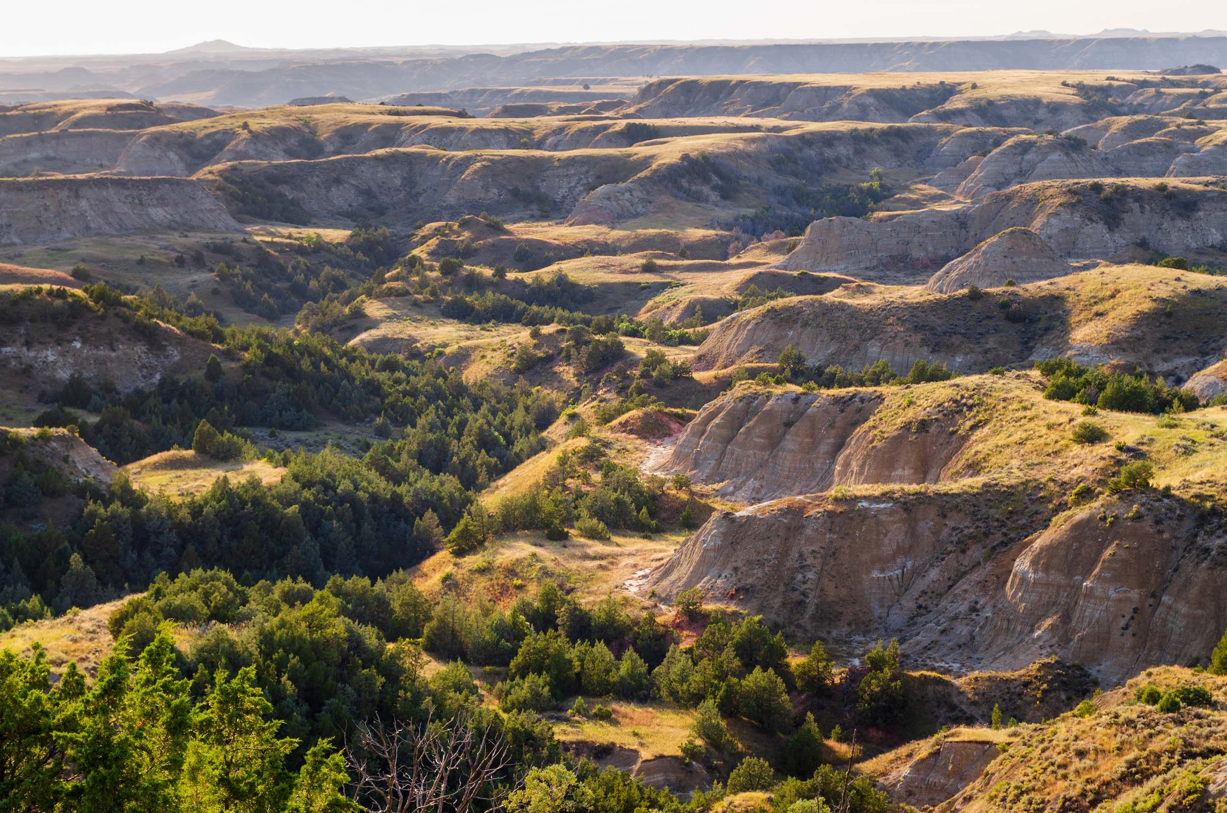 Theodore Roosevelt national park