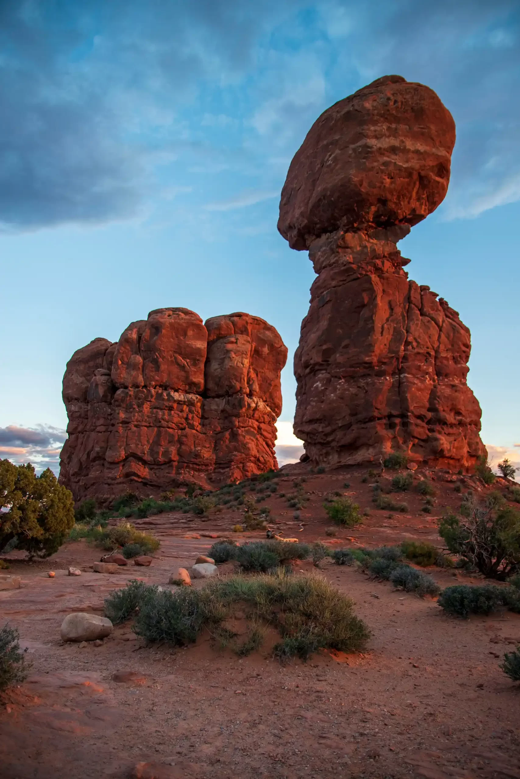 shutterstock_2472858785