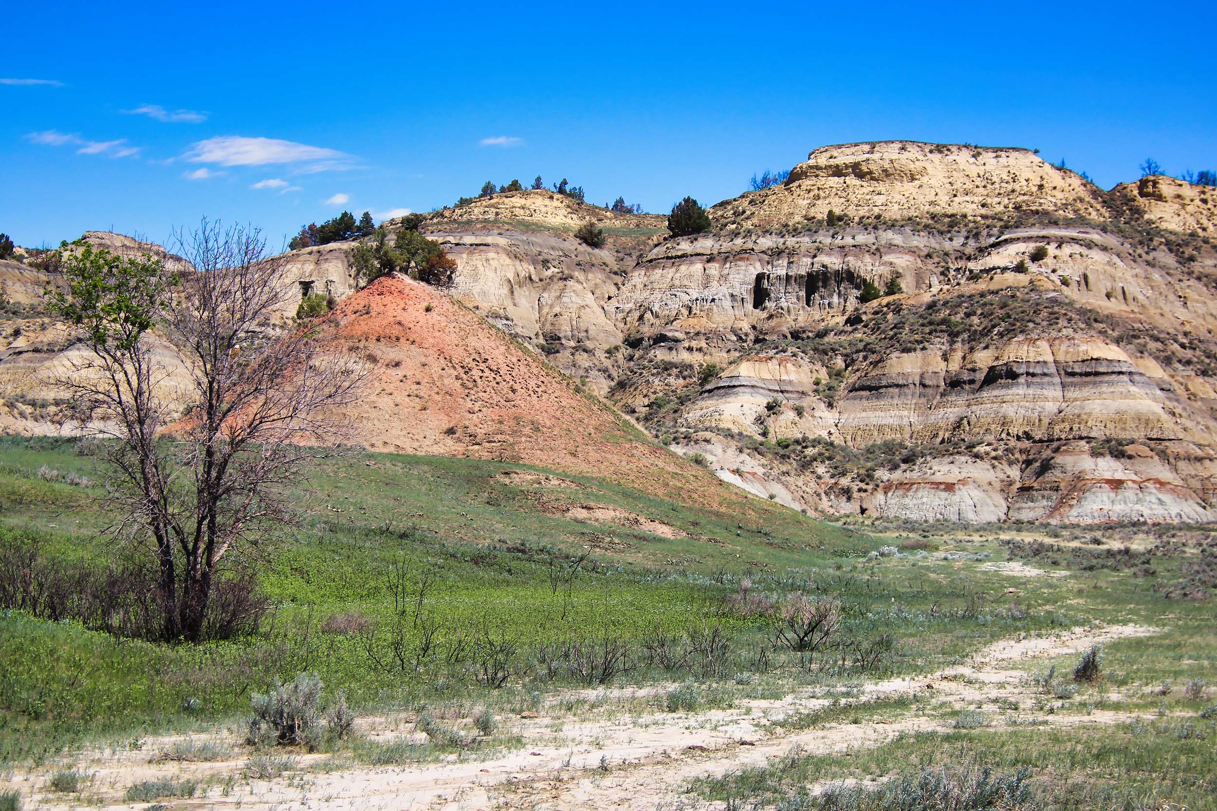 Theodore Roosevelt national park