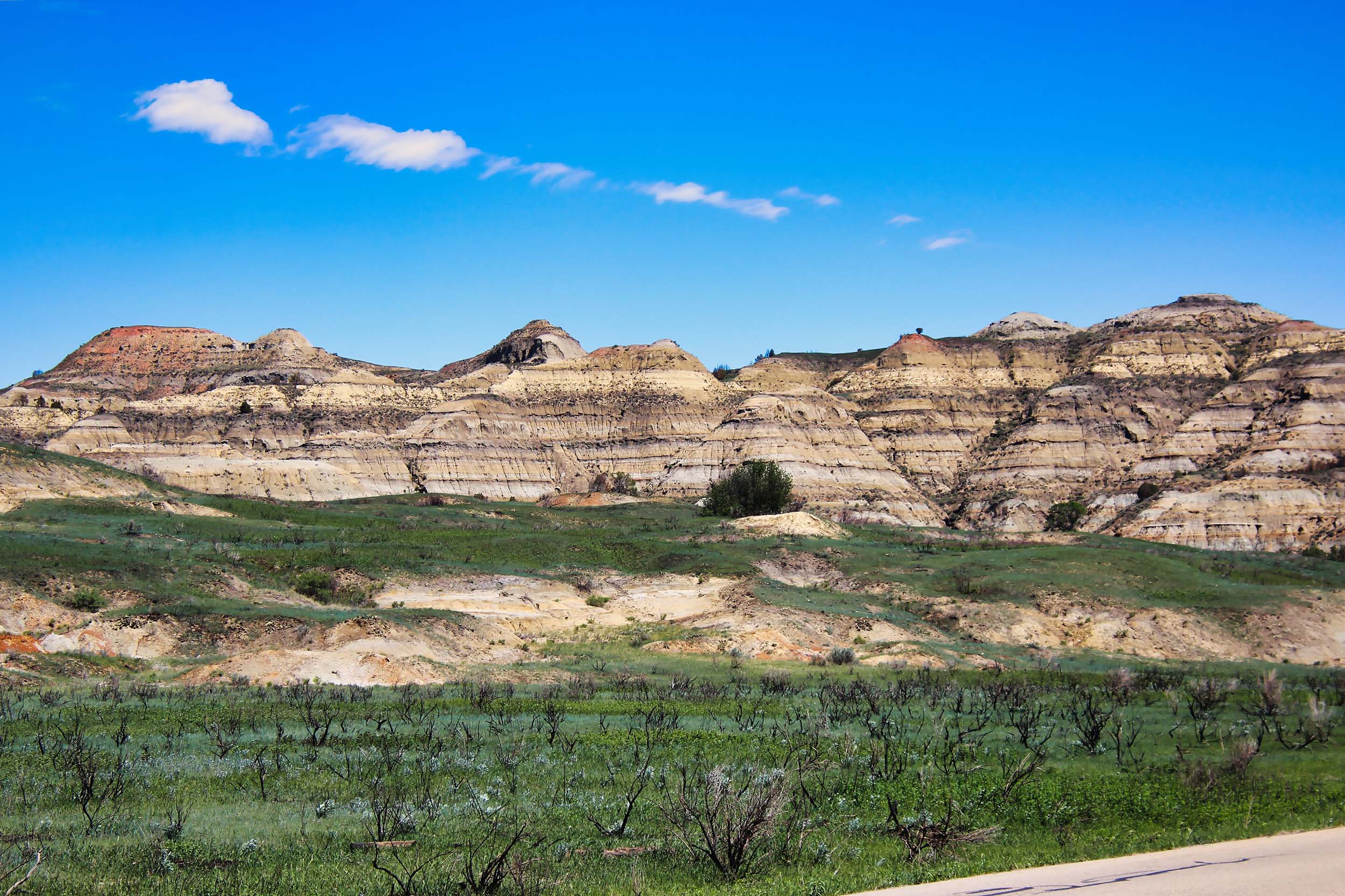 Theodore Roosevelt national park