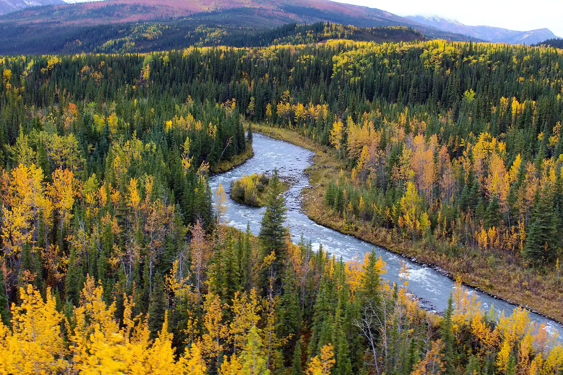 Denali National Park History - Wild Wanderers Almanac