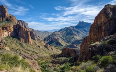 Camping in Big Bend National Park