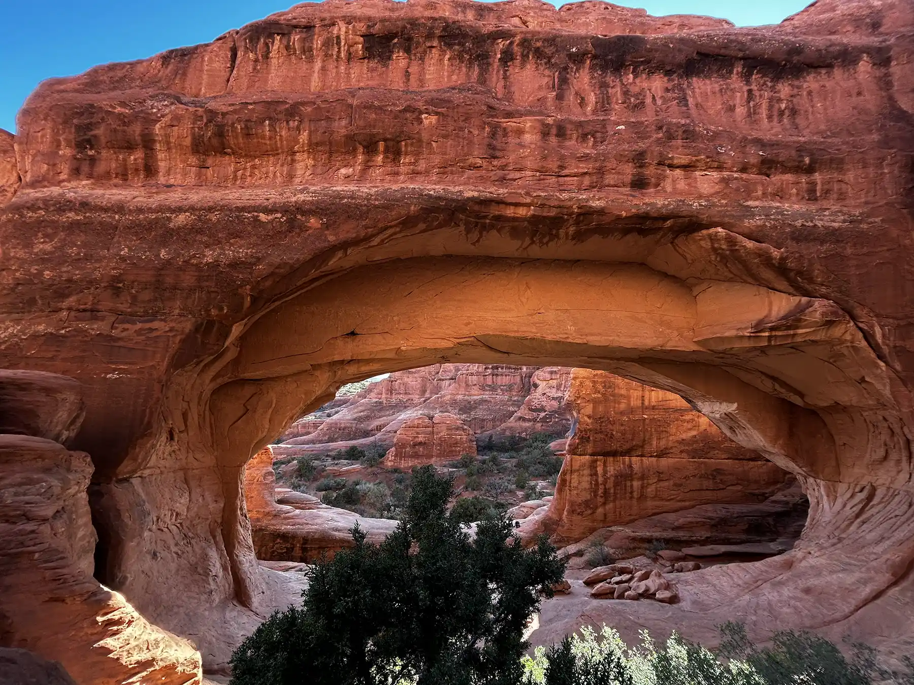 Sandstone formations along one of the best hikes in Arches National Park